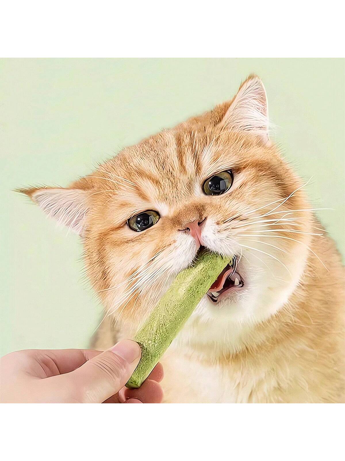 5pcs Catnip Stick & Mint Stick Chewing & Grinding Toys For Cats