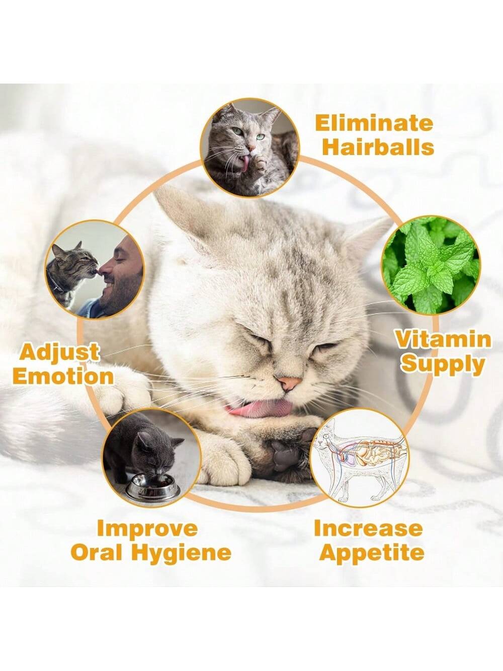 4 In 1 Catnip Silvervine Balls, Edible Kitty Toys For Cats Wall