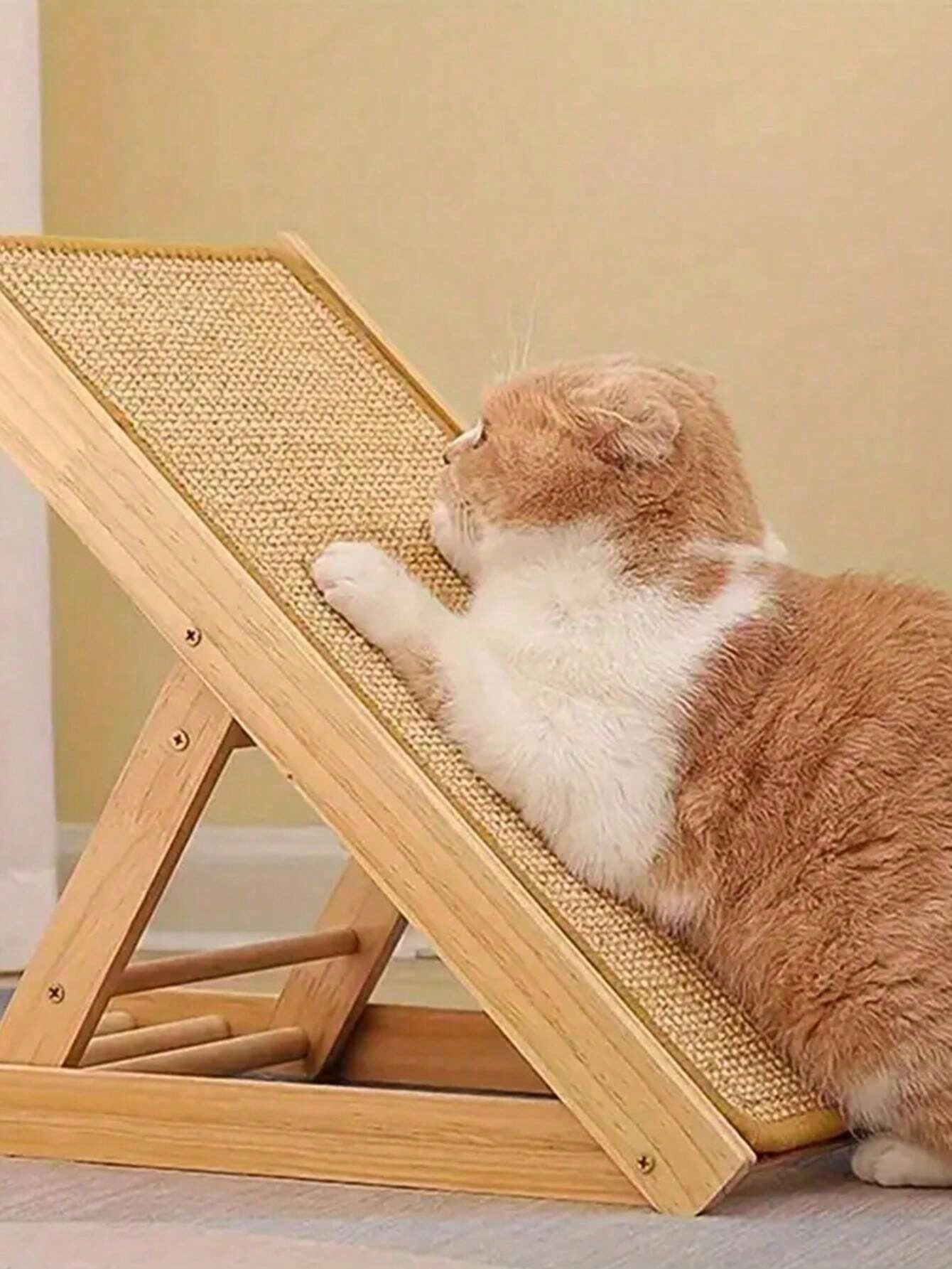 https://img.ltwebstatic.com/images3_spmp/2024/11/19/22/17320180037de4d1ad50675f3ca6a9e0471be1ebeb.jpg