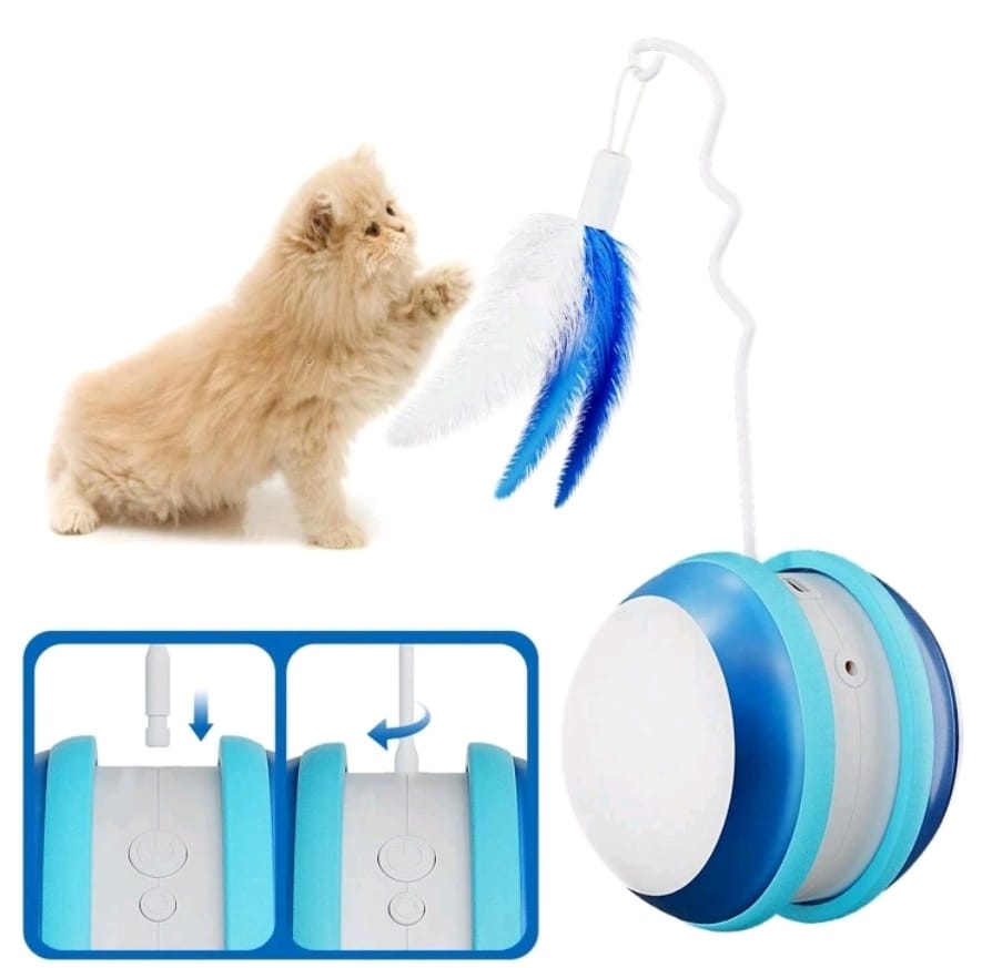 Interactive smart cat toy,latest 360 degree self-rotating ball , app control intelligent cat ball, pet toy with light and feather for indoor cat/small dog