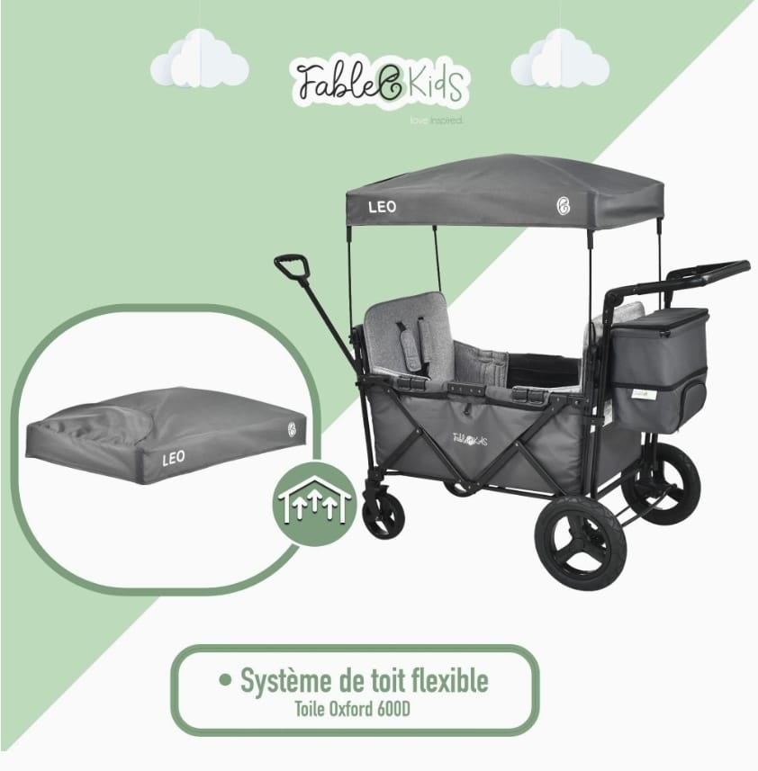 FableKids Leo X2Plus Pedal Cart with Roof | Folding Transport Trolley | Holds up to 20kg per Seat | 5 Point Harness | 360° All Terrain Wheels | Foot Brake | Fossil Grey