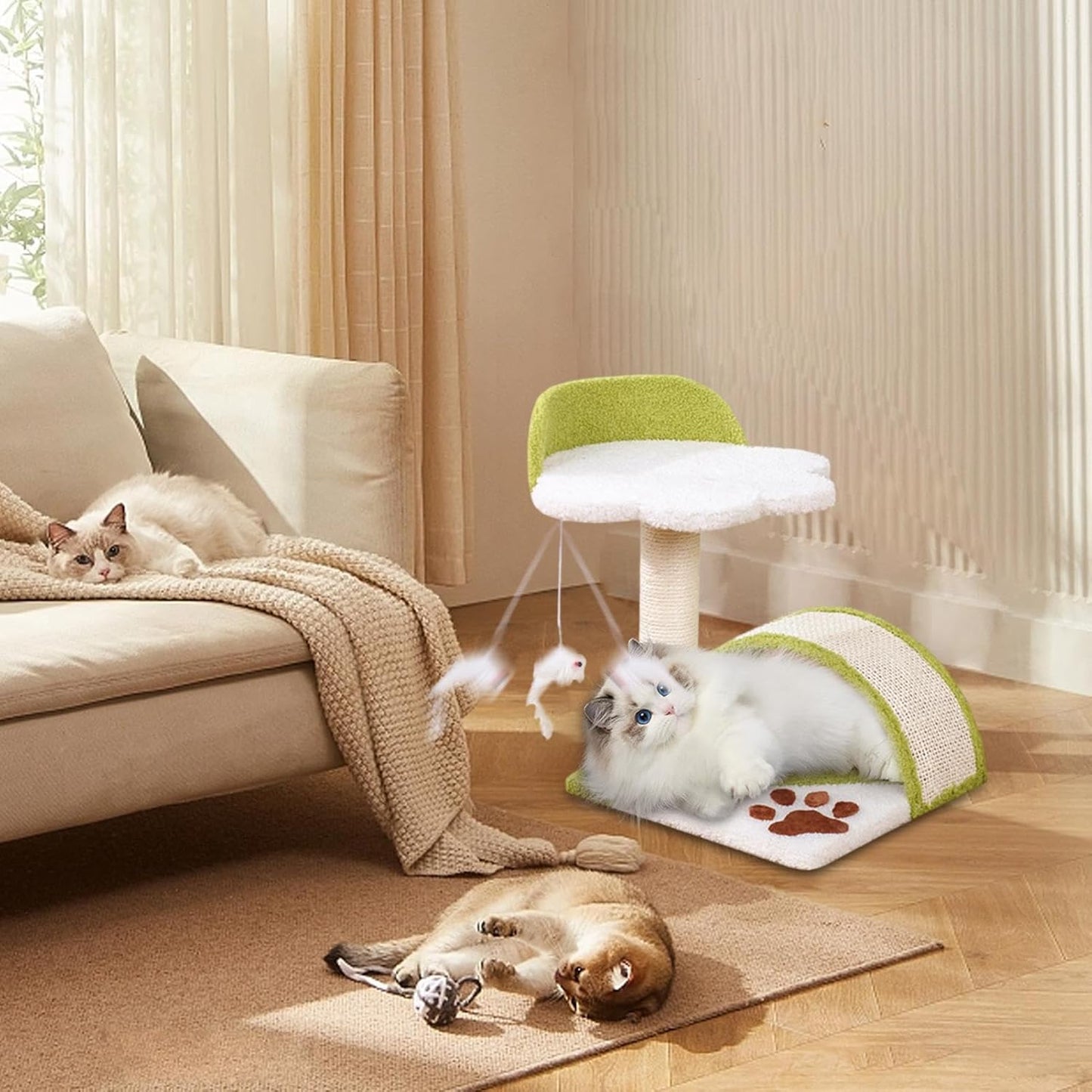 Cat scratching bridge - SAFICCO