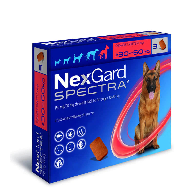 Nexgard Spectra one tablet