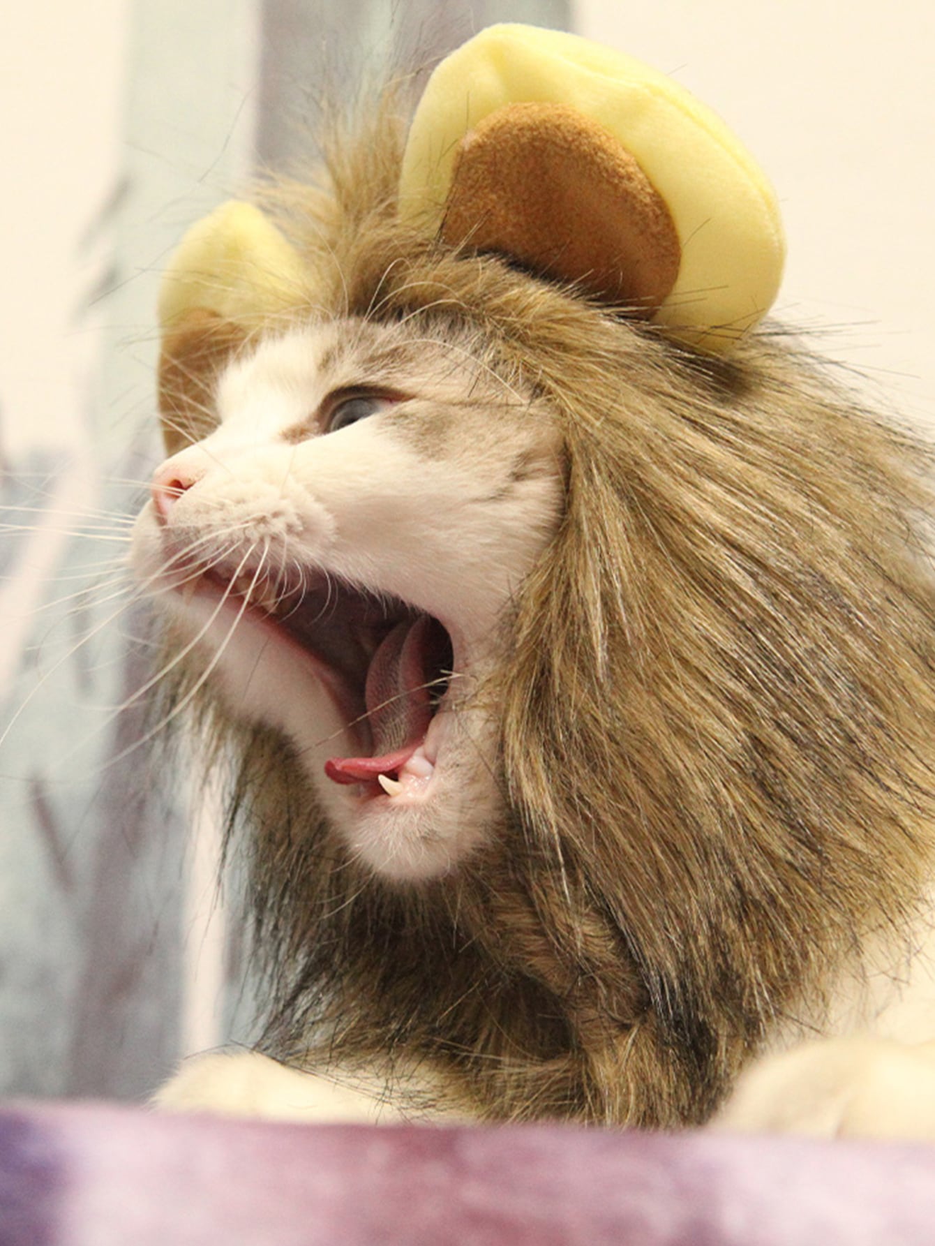 1pc Cosplay Lion Velcro Cat Hat