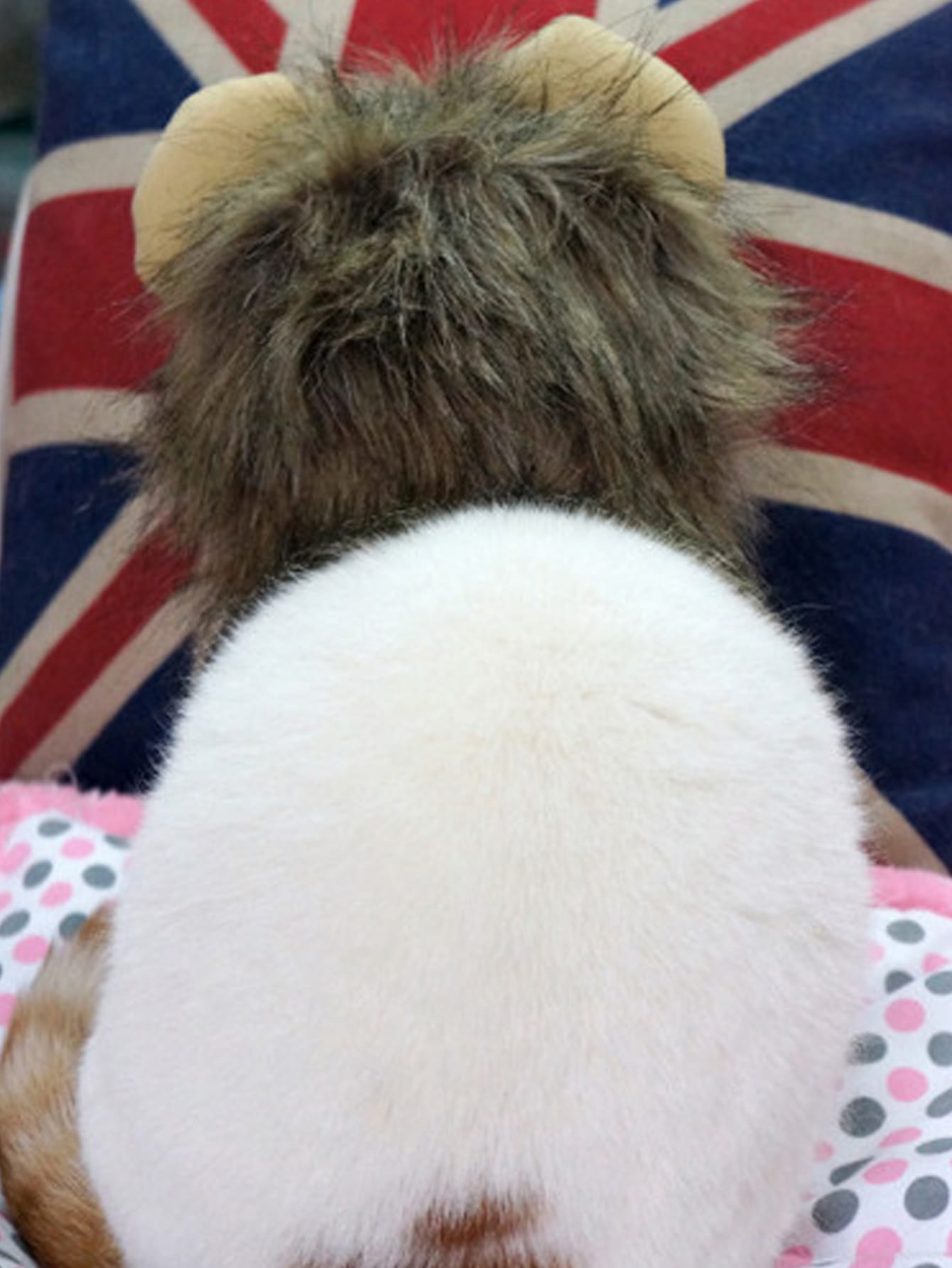 1pc Cosplay Lion Velcro Cat Hat