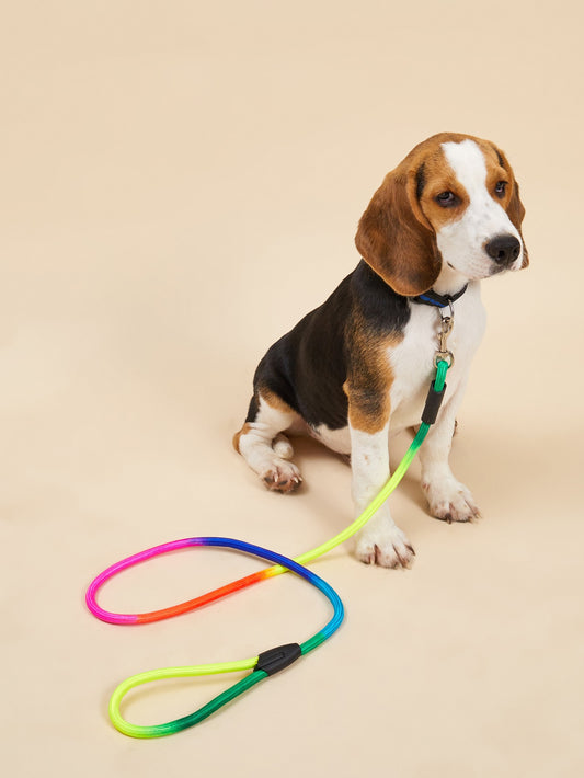 1pc Colorful Dog Leash