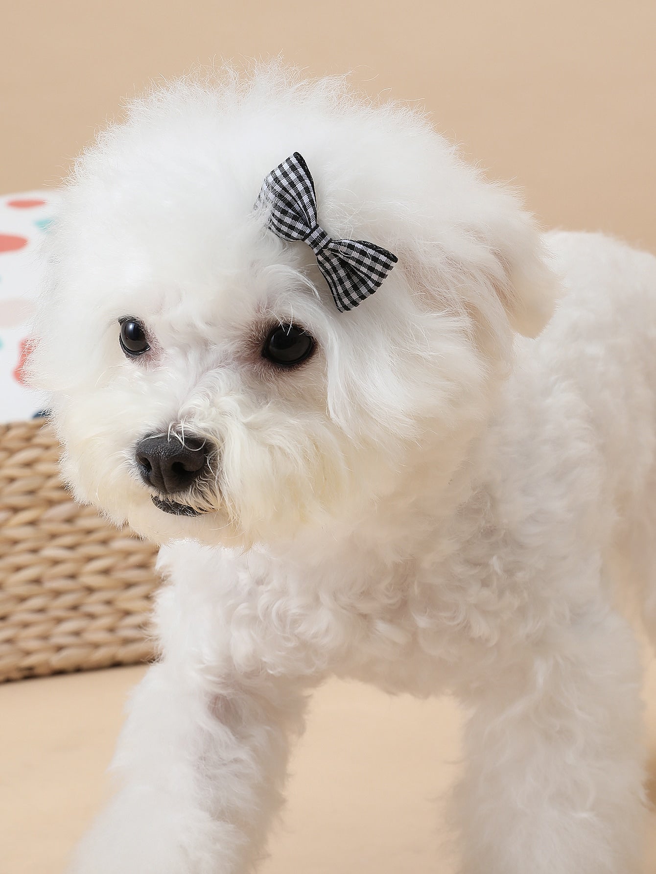 PETSIN 3pcs Plaid Bow Decor Dog Hair Clip