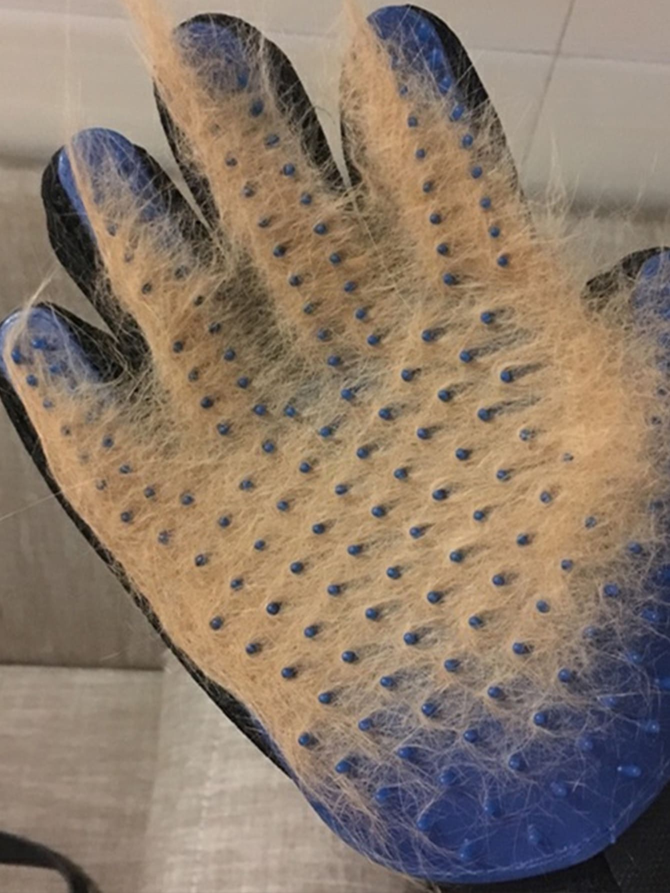 1pc Dog Grooming Massage Glove
