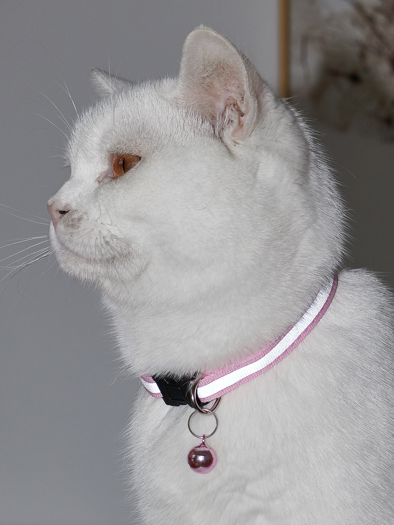Bell Decor Reflective Tape Pet Collar