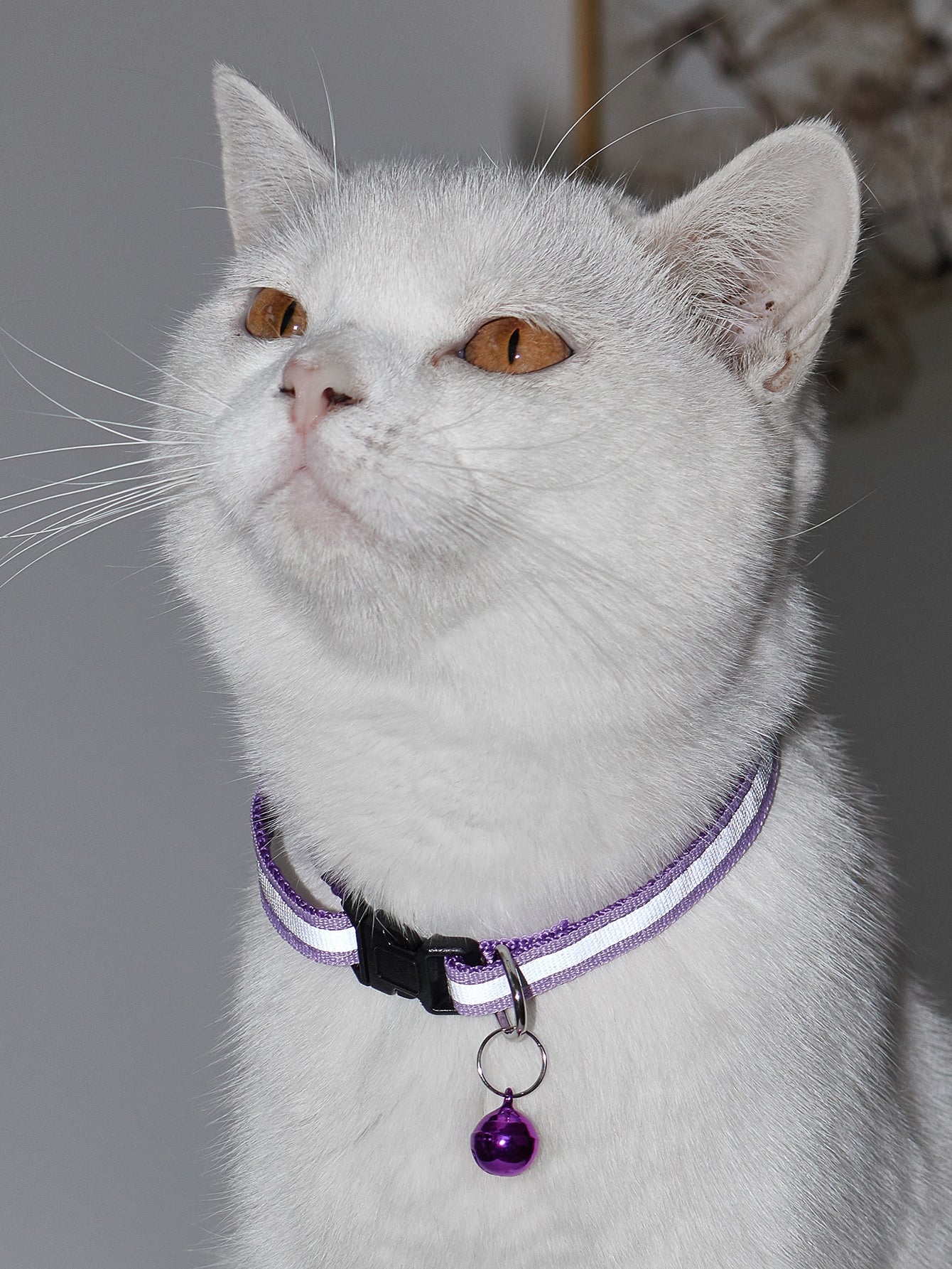Bell Decor Reflective Tape Pet Collar