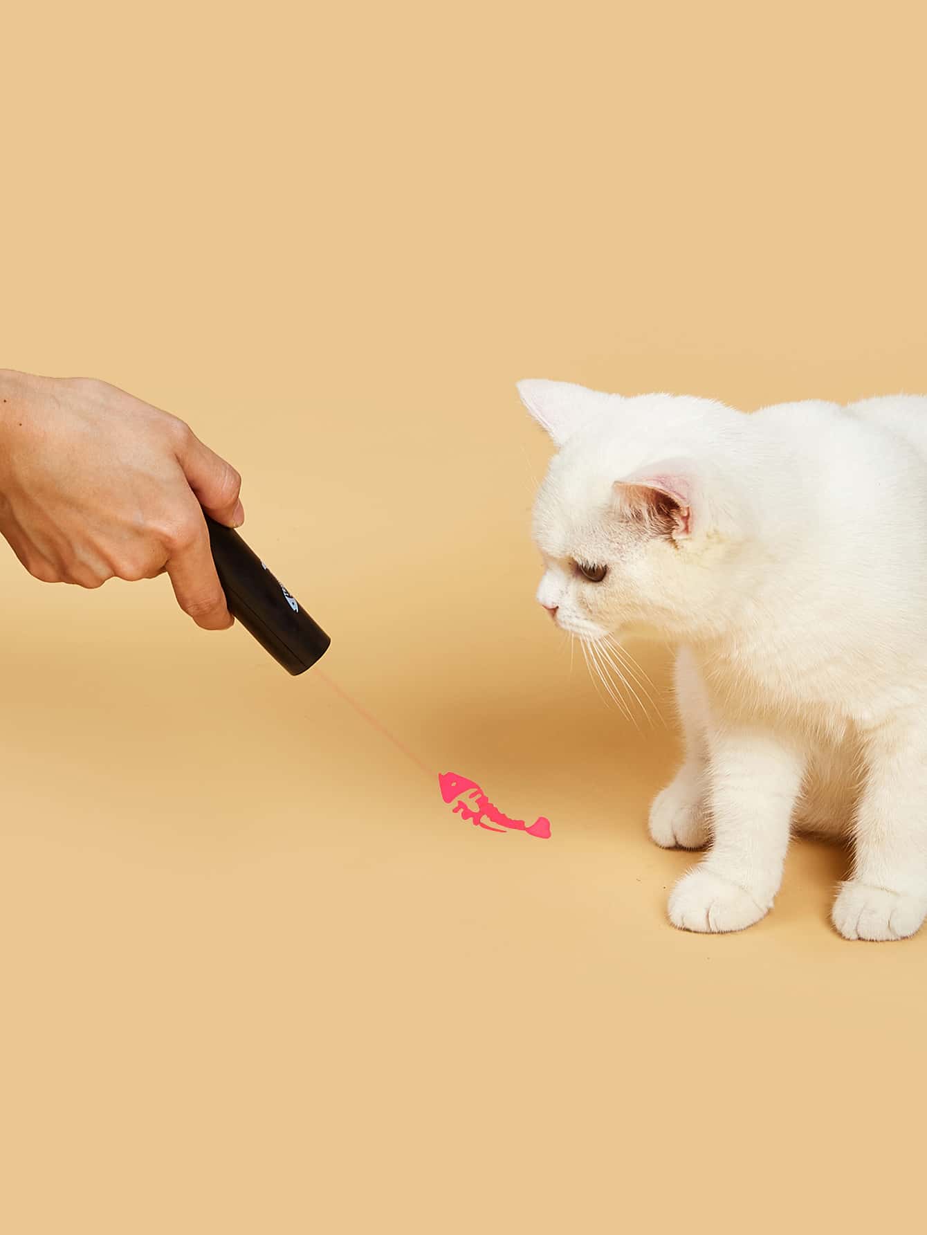 Mouse Pattern Cat Laser Exerciser