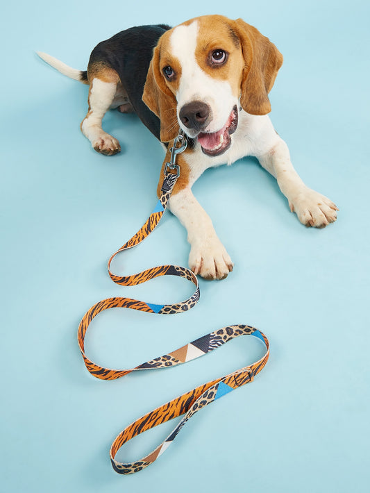 Animal Pattern Pet Leash