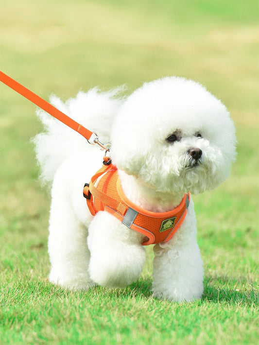 1pc Breathable Pet Harness 1pc Leash