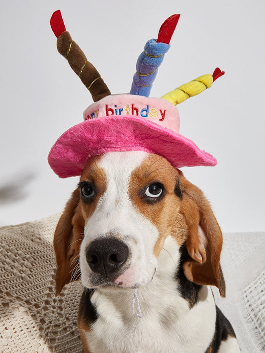 1pc Birthday Cake Shaped Pet Hat
