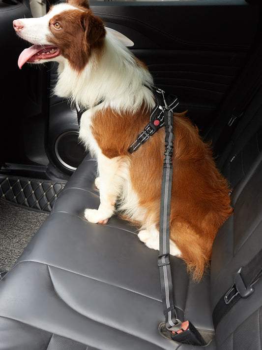 1pc Adjustable Pet Car Seat Belt
