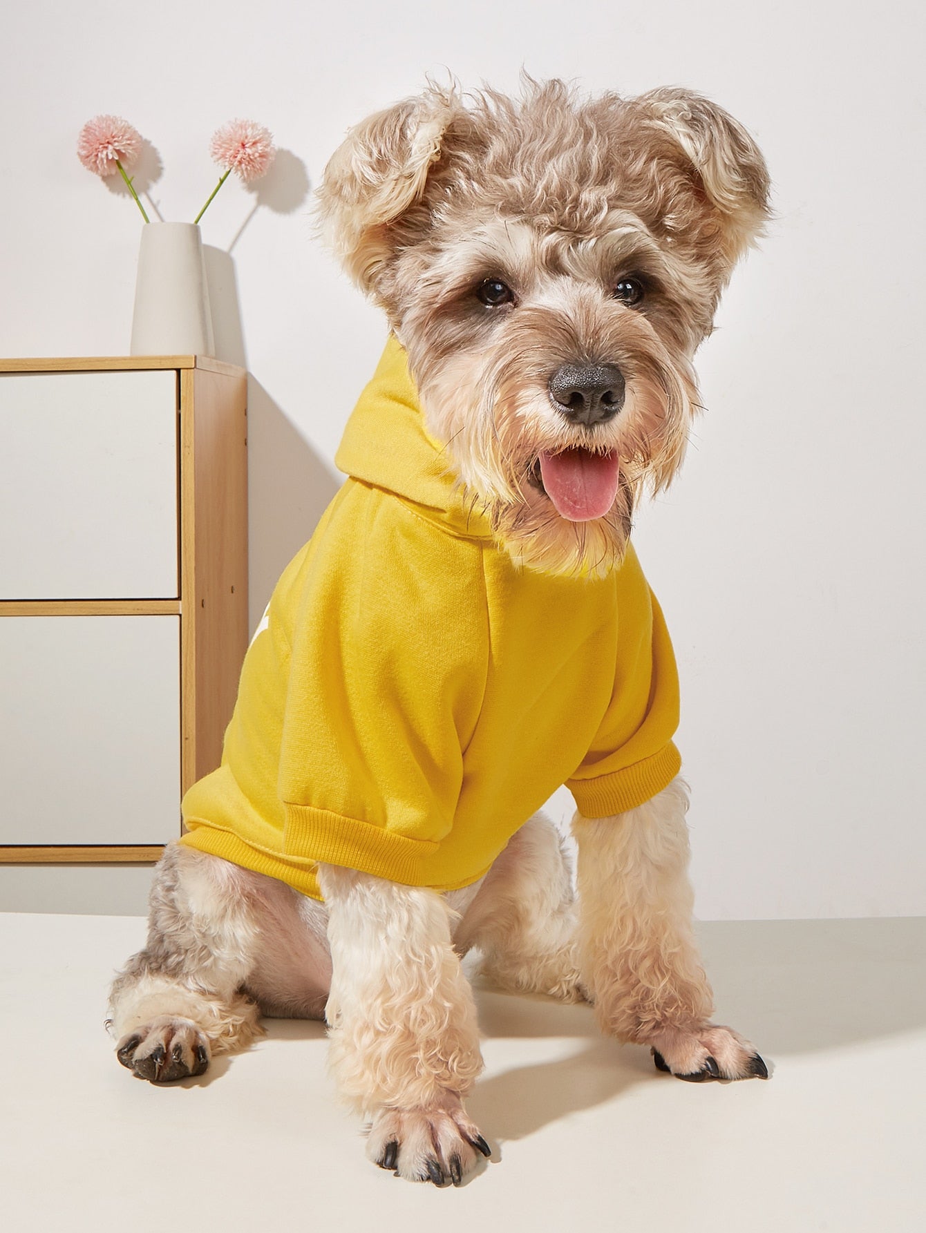 Letter Graphic Pet Hoodie