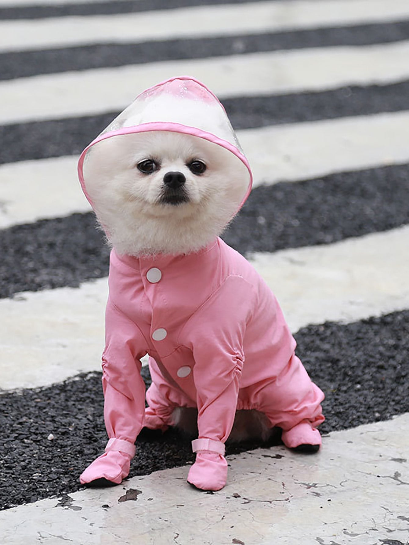 1pc Plain Pet Raincoat