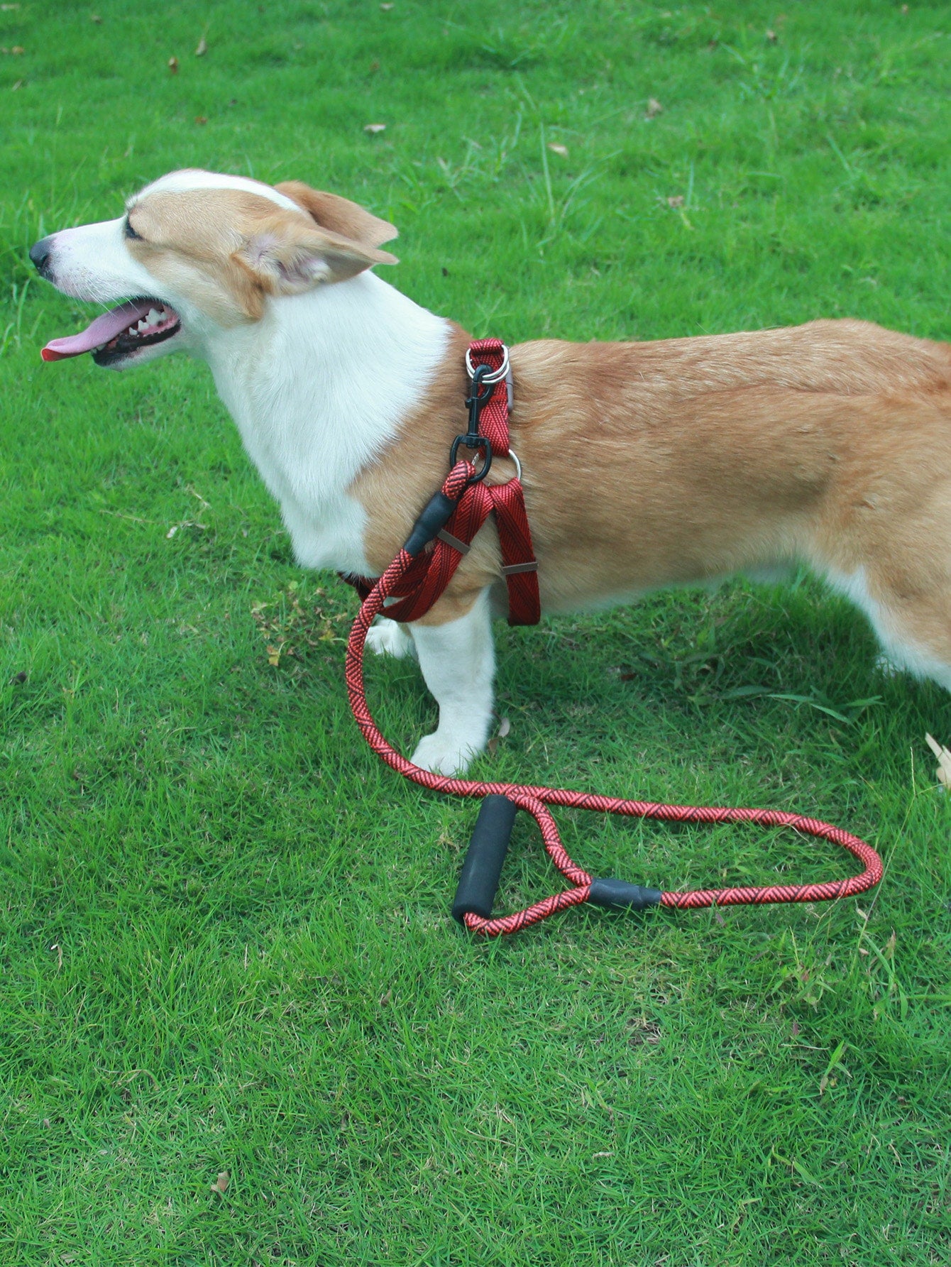 1pc Pet Leash 1pc Harness