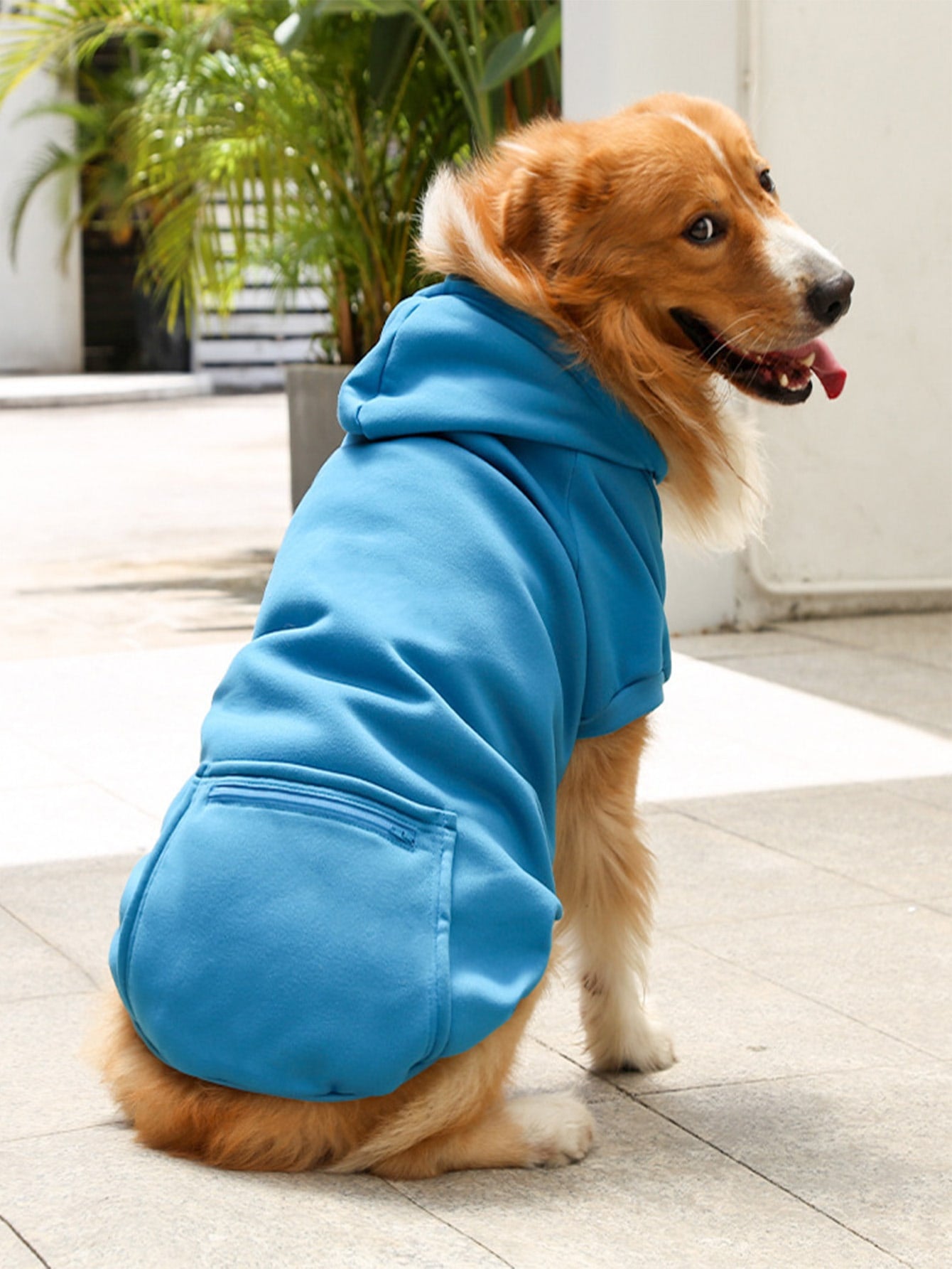 Solid Color Pet Hoodie