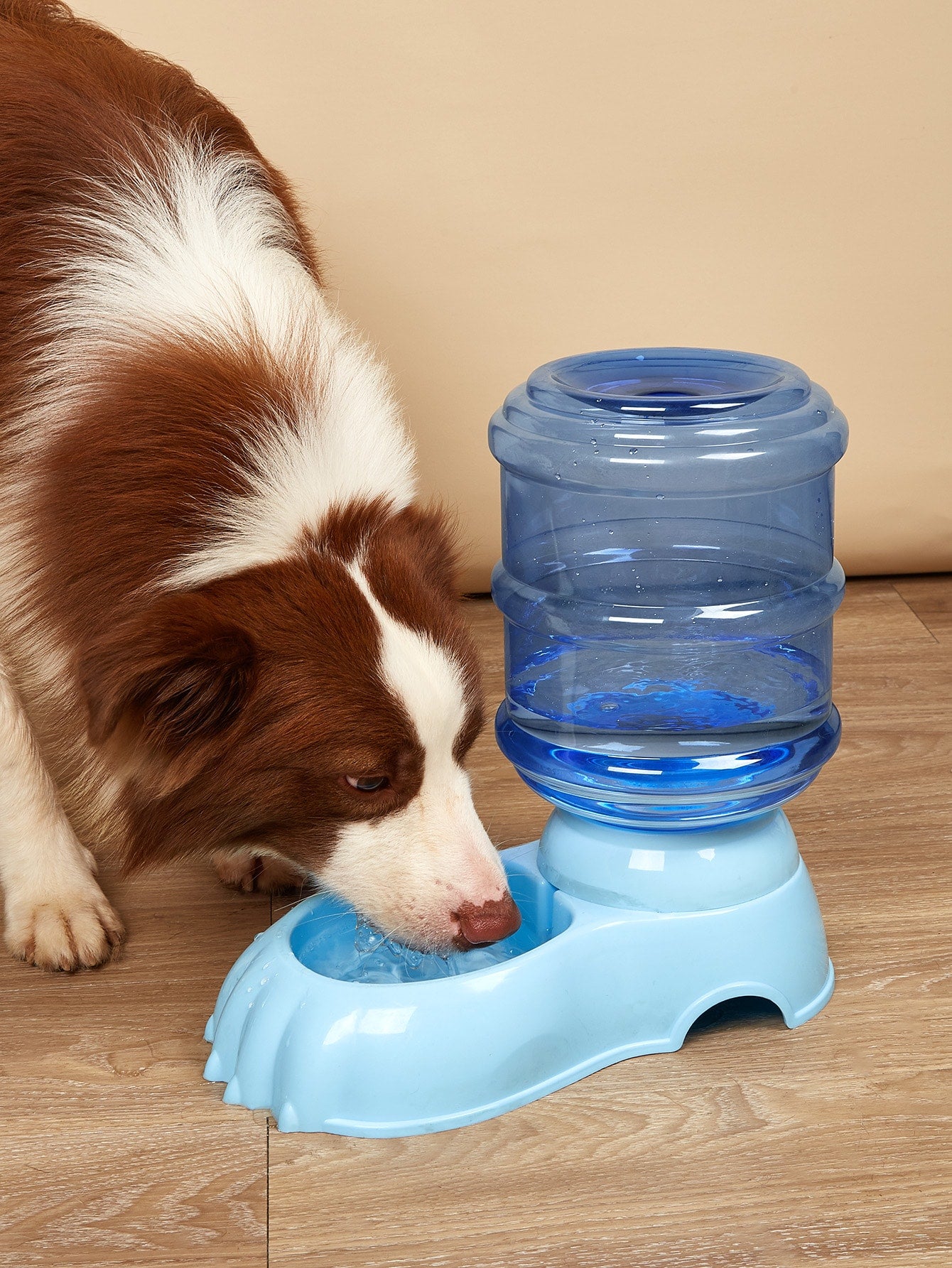1pc Pet Water Feeder