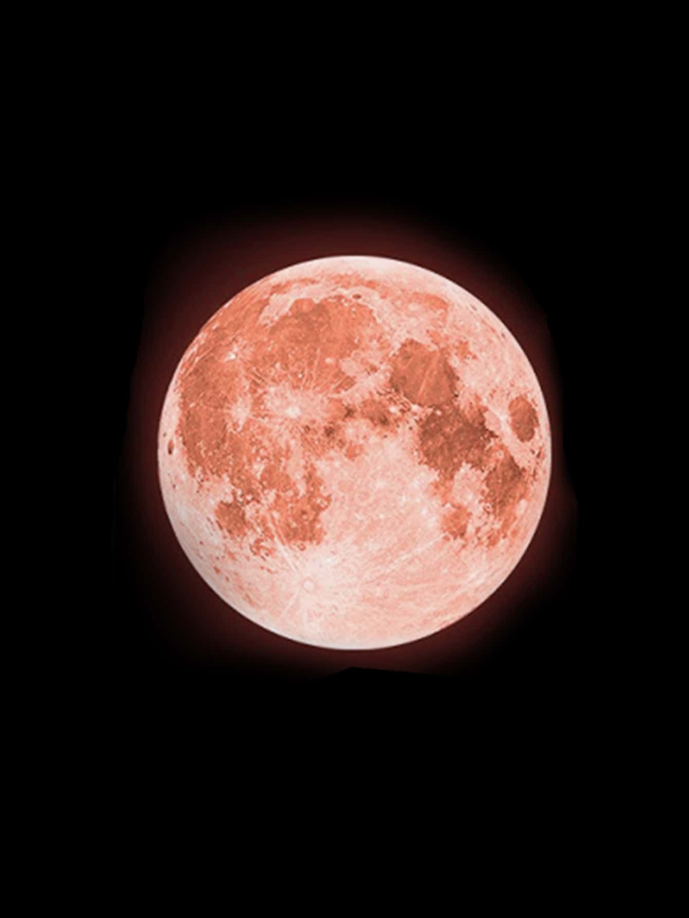 Moon Glow In The Dark Wall Sticker