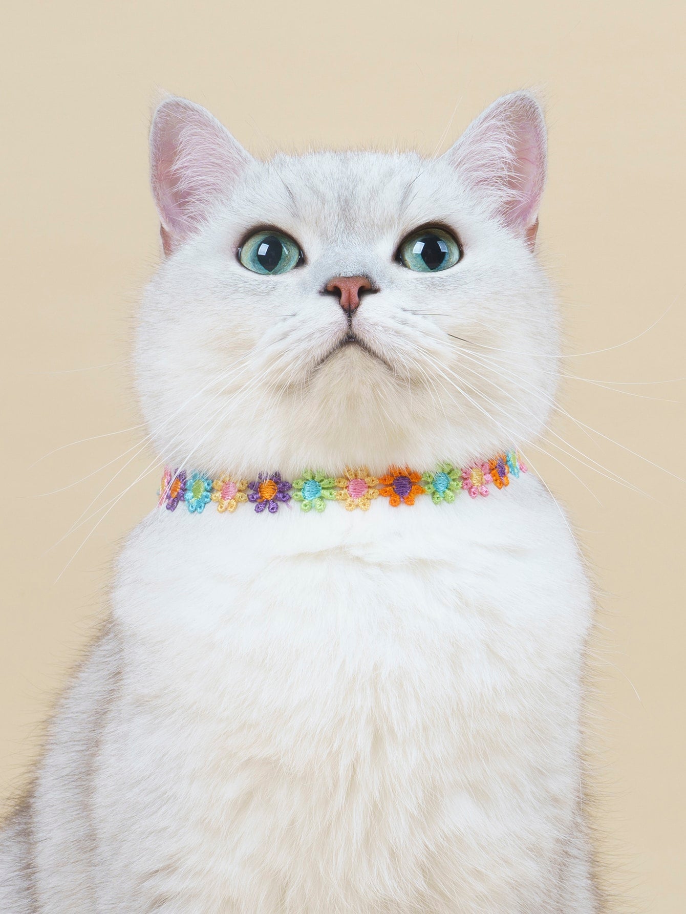Flower Design Pet Necklace