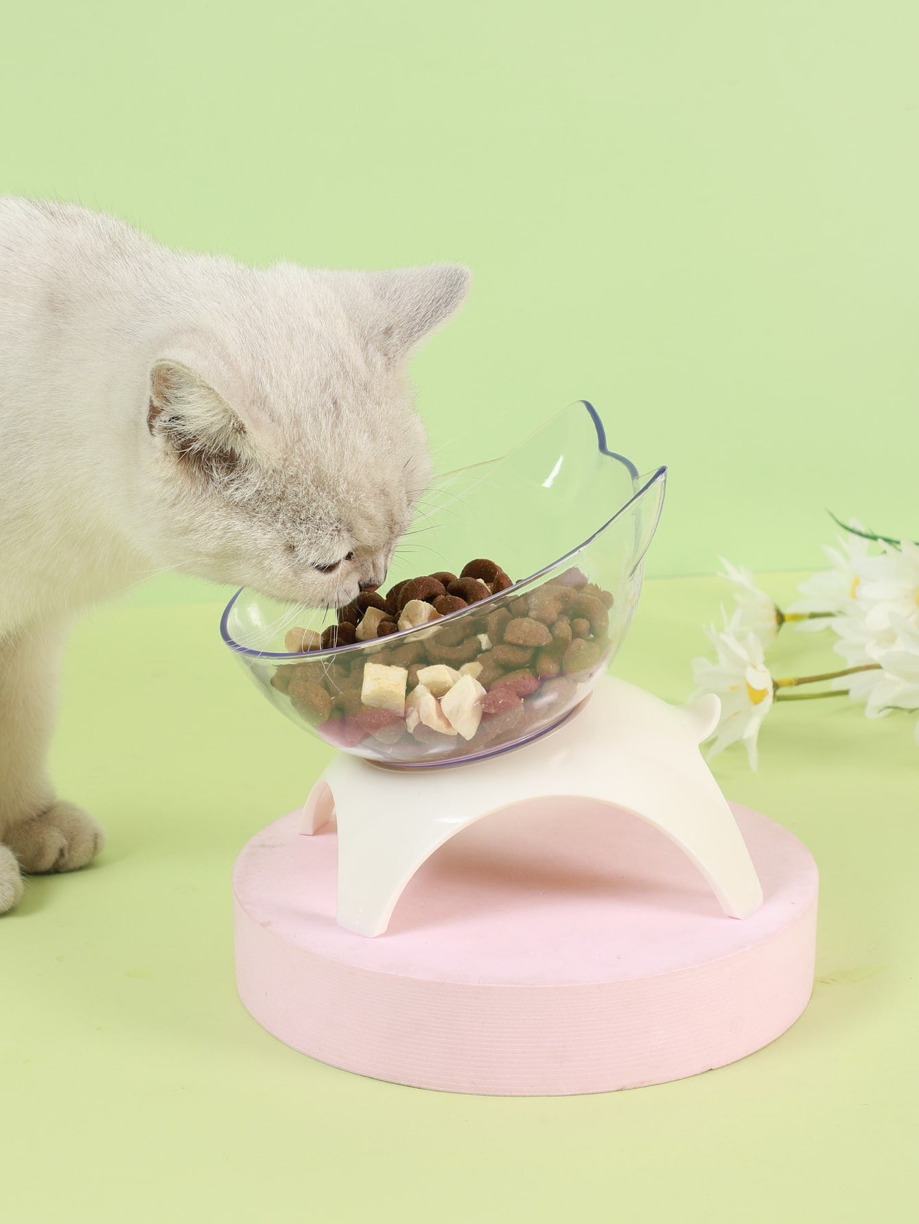 Cat Design Pet Bowl