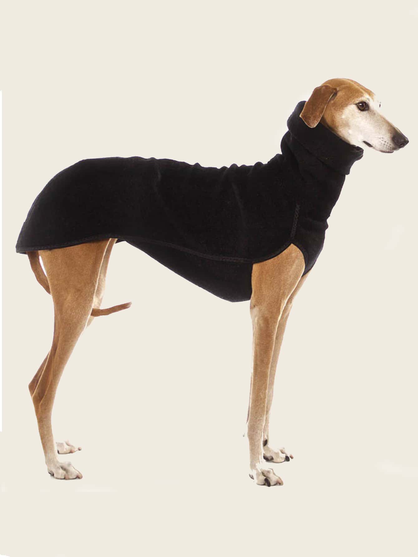 Solid Color Pet Pajama