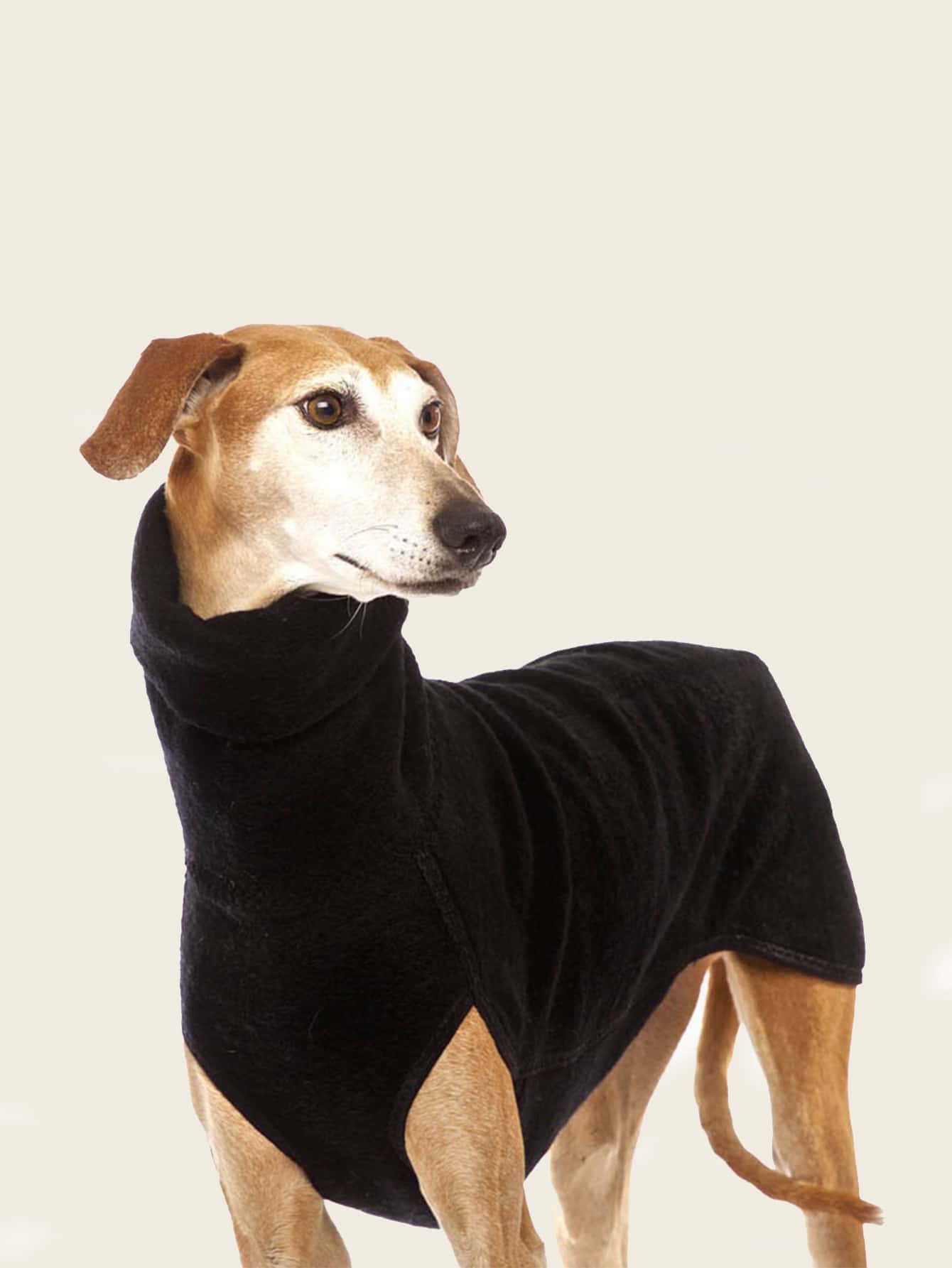 Solid Color Pet Pajama
