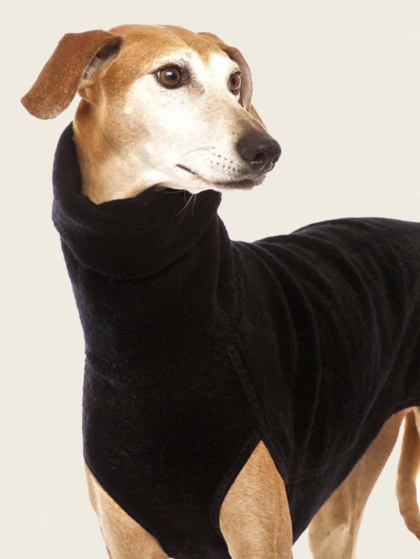 Solid Color Pet Pajama