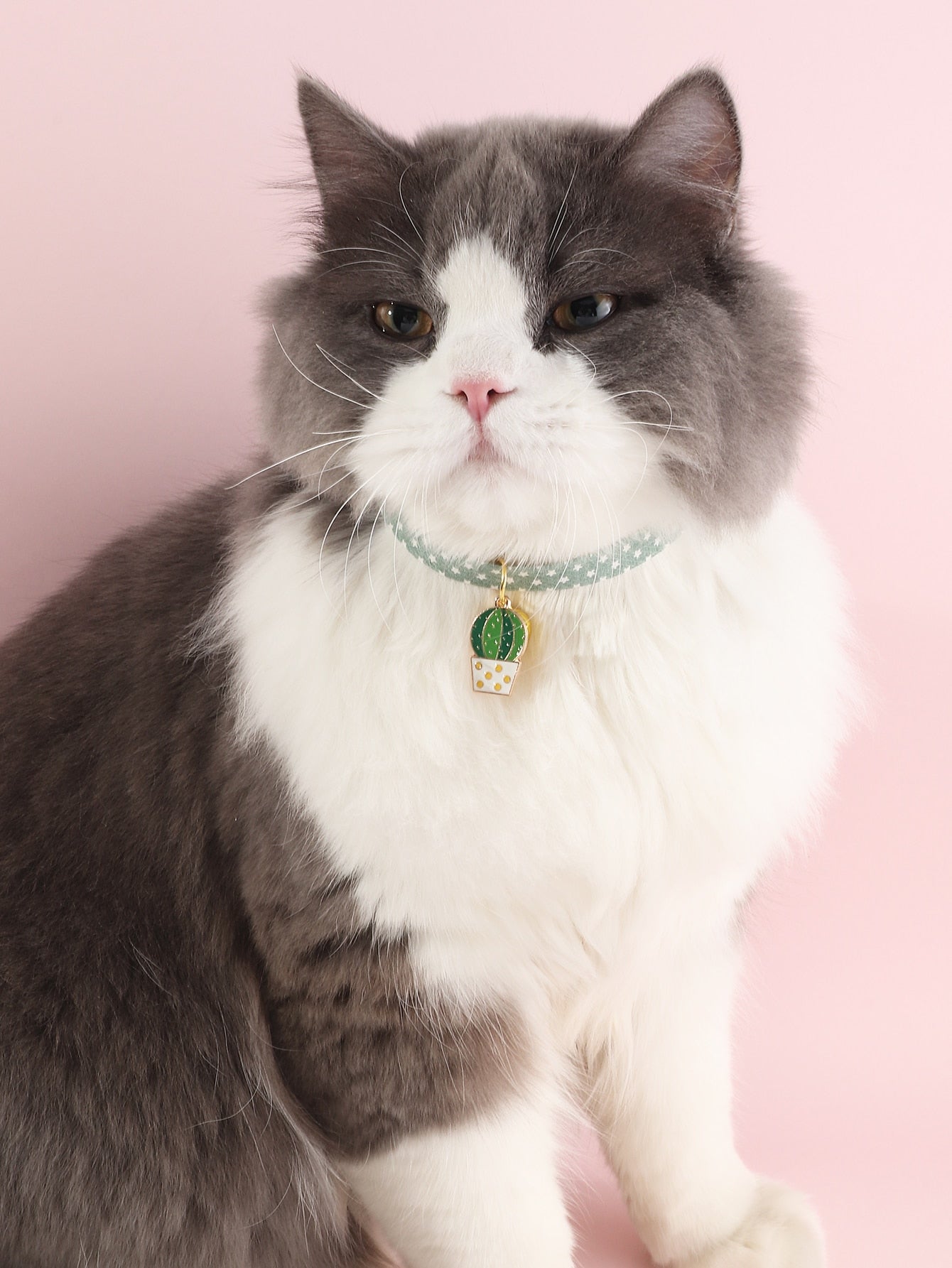 Cactus Decor Pet Necklace