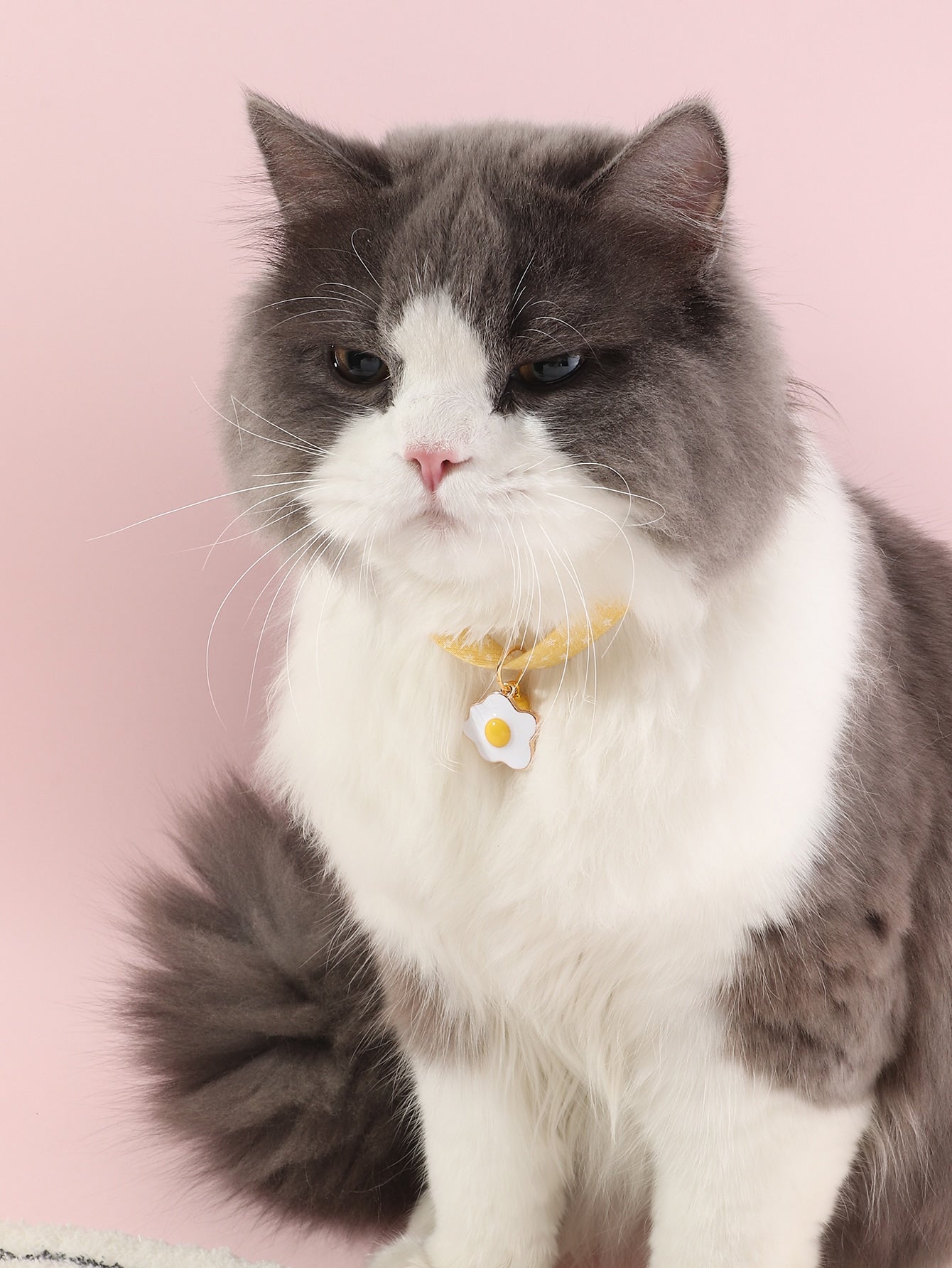 Cactus Decor Pet Necklace