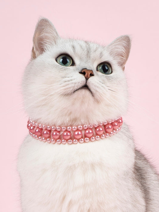 Pet Imitation Pearl Necklace