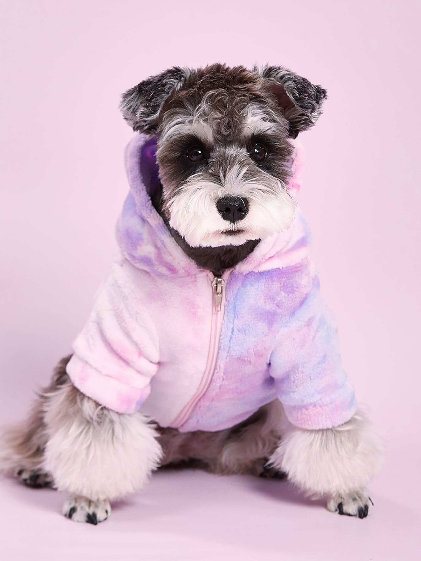 PETSIN Gradient Color Pet Coat