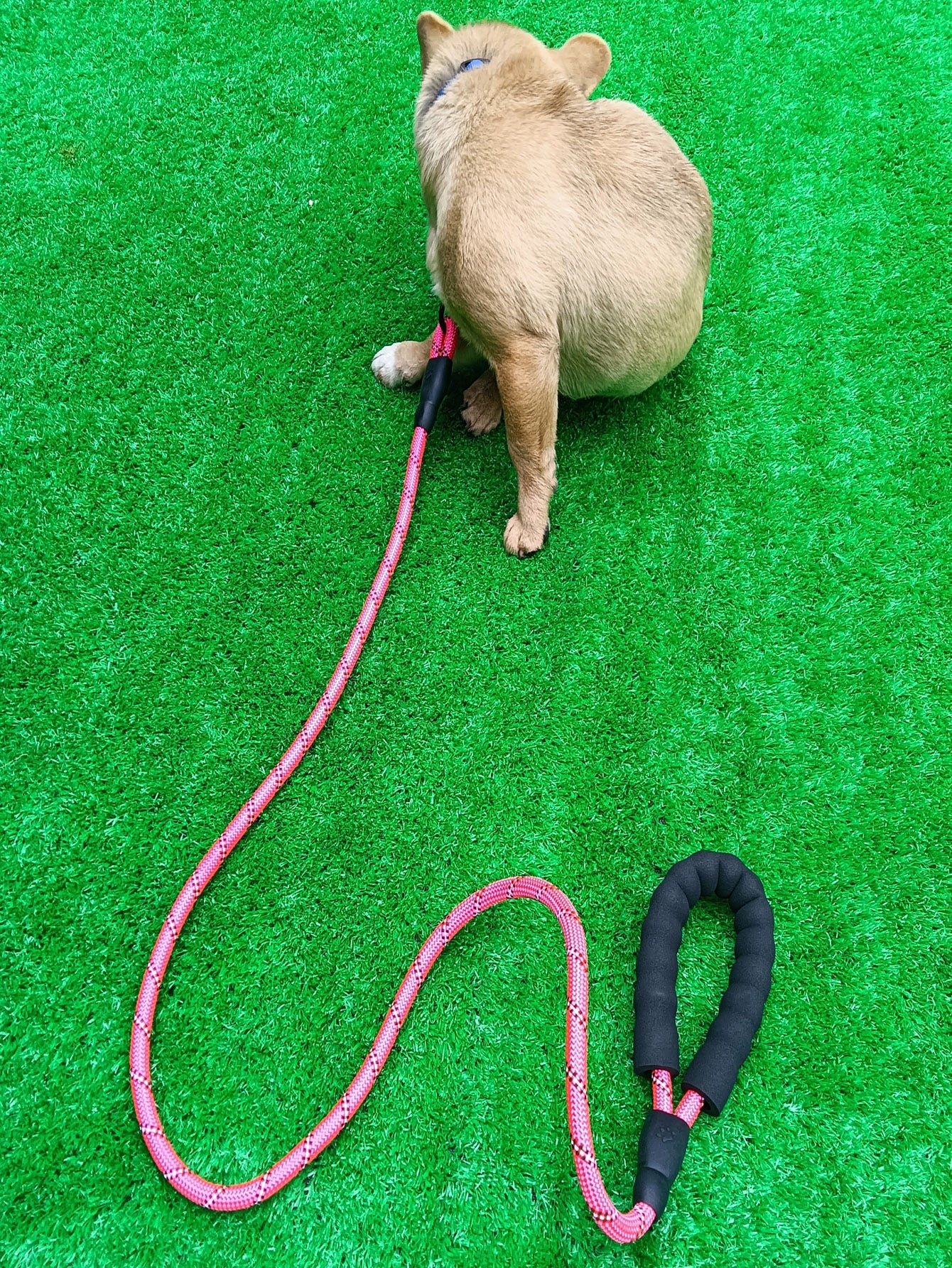 1pc Nylon Pet Leash