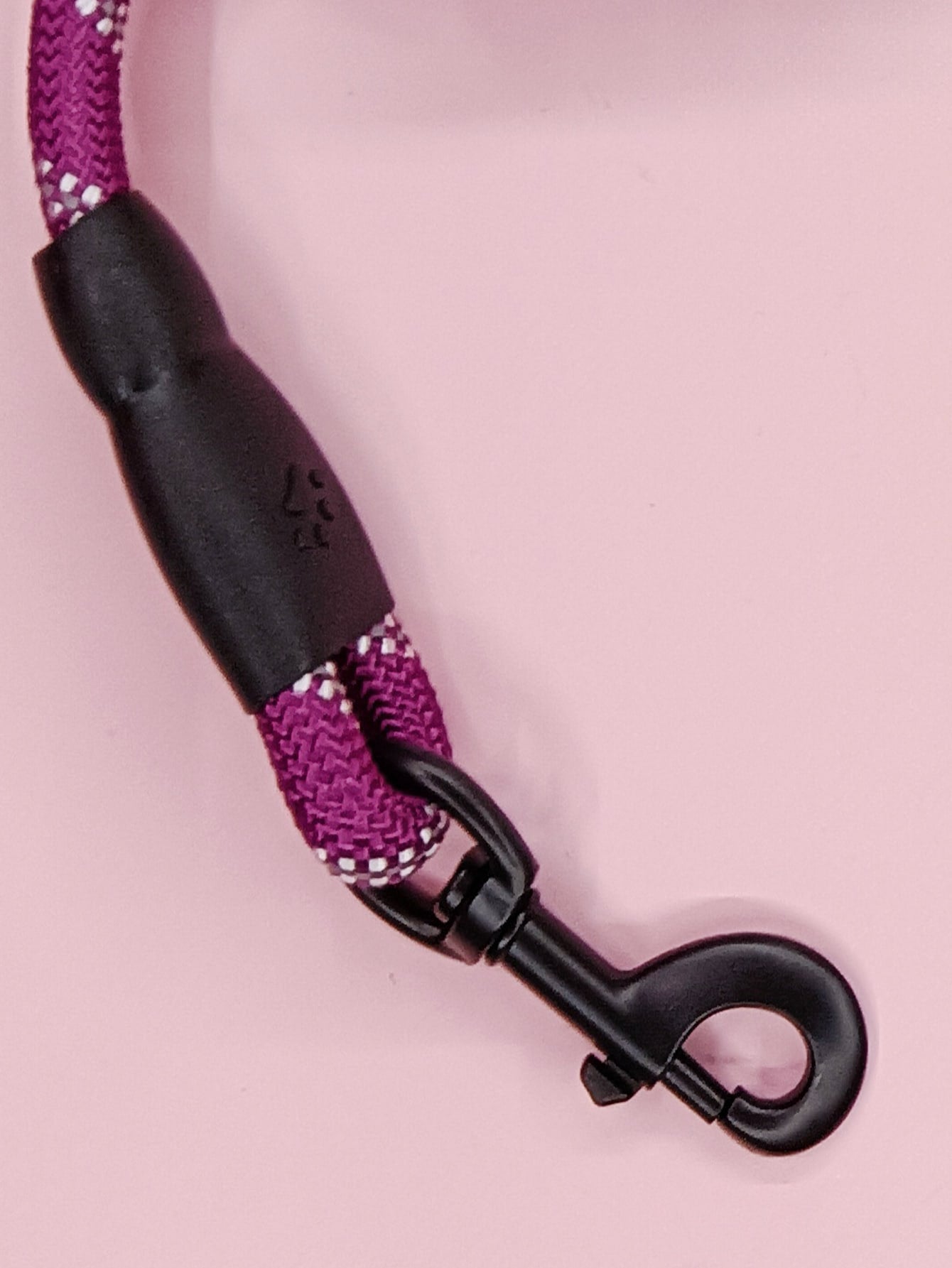 Braided Rope Pet Leash