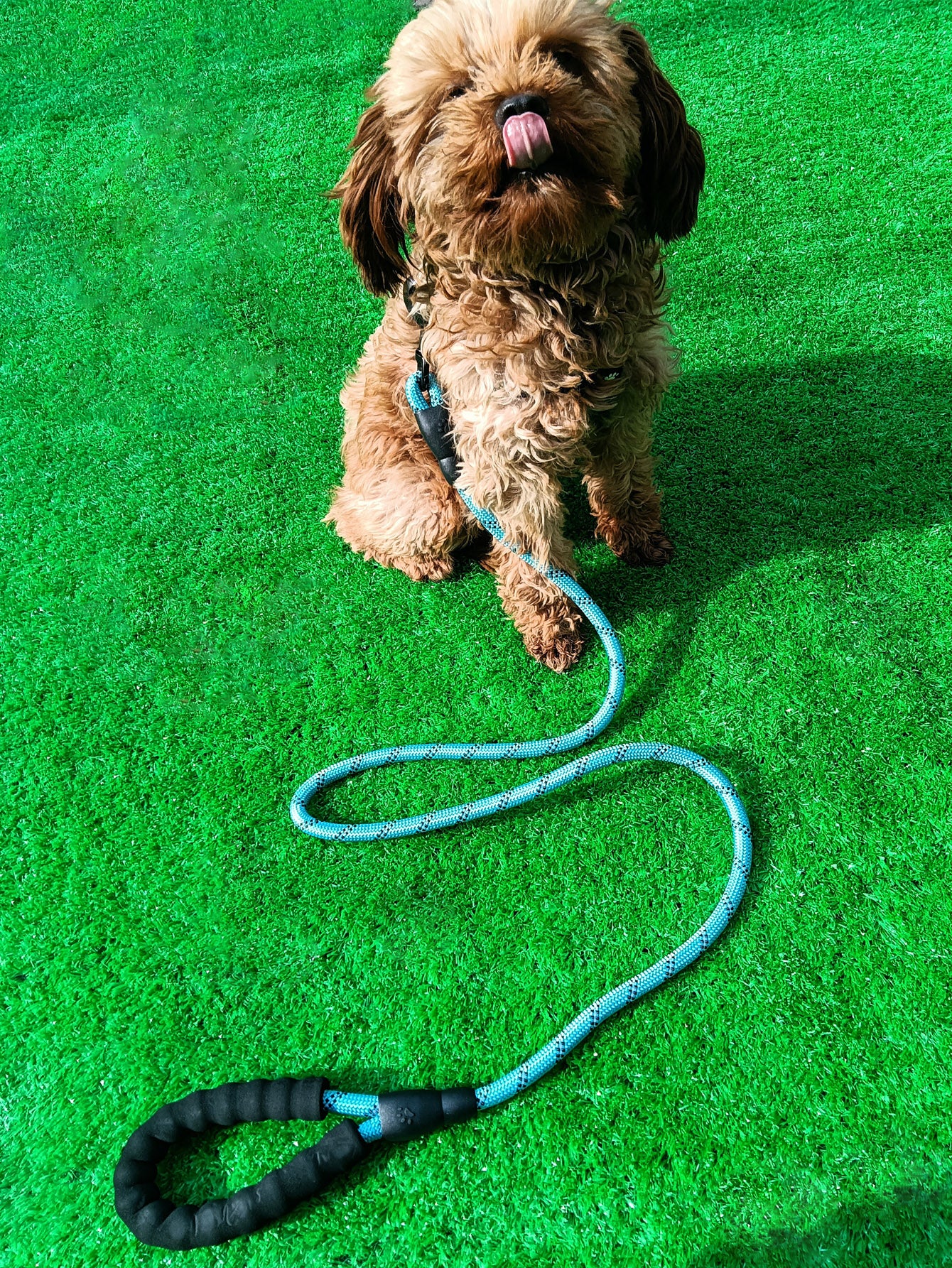 1pc Nylon Pet Leash