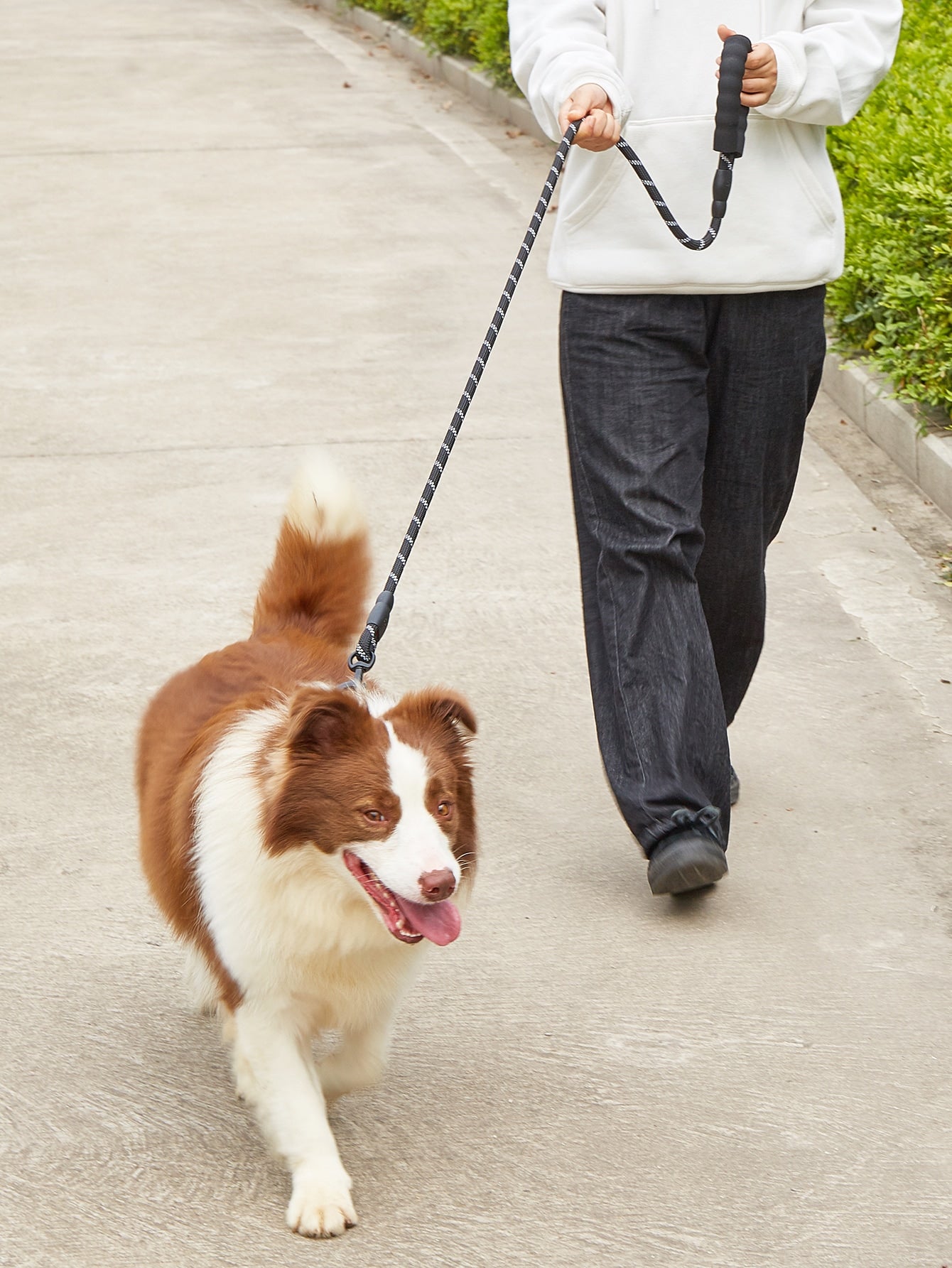 1pc Nylon Pet Leash