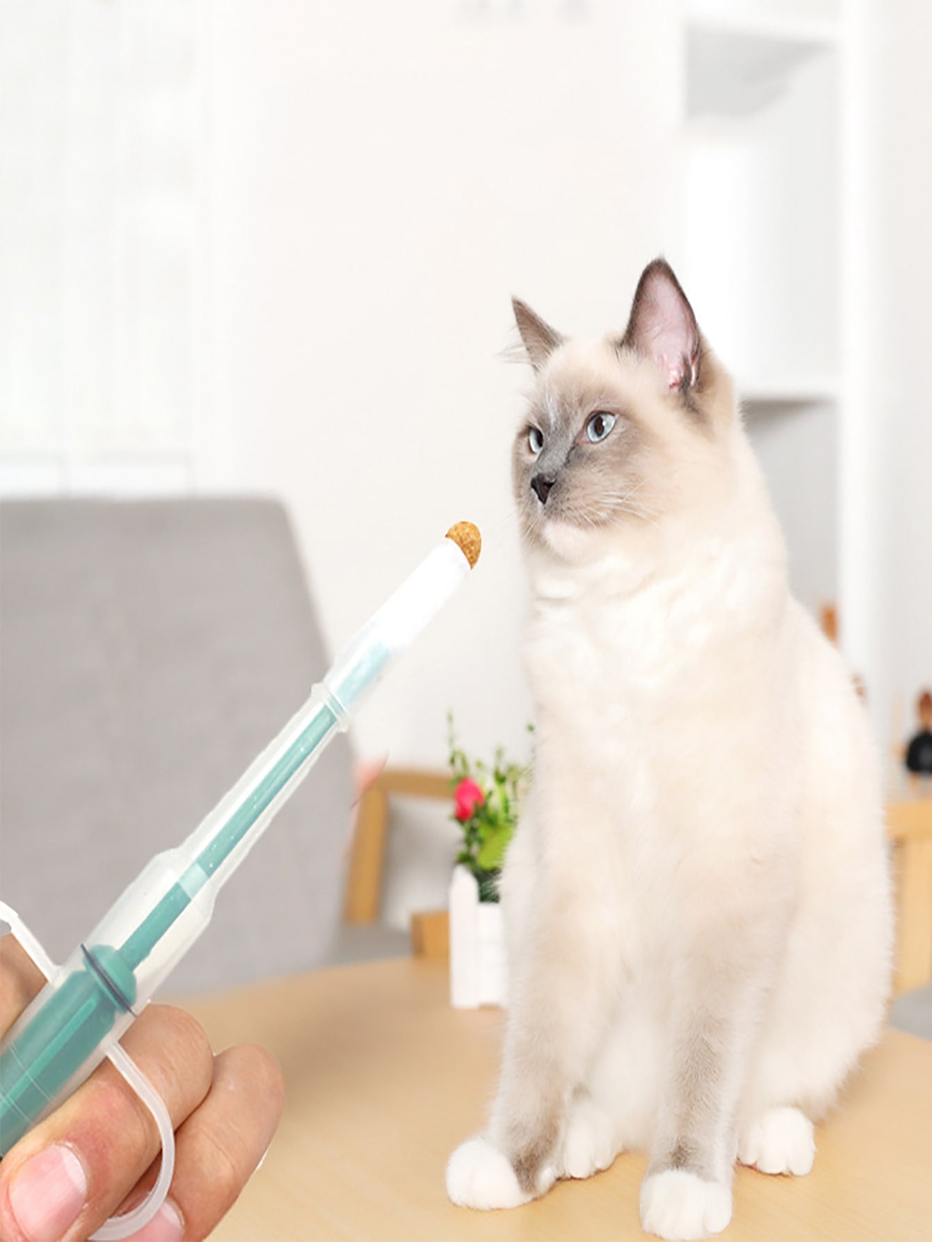 1pc Random Color Pet Medicine Feeder