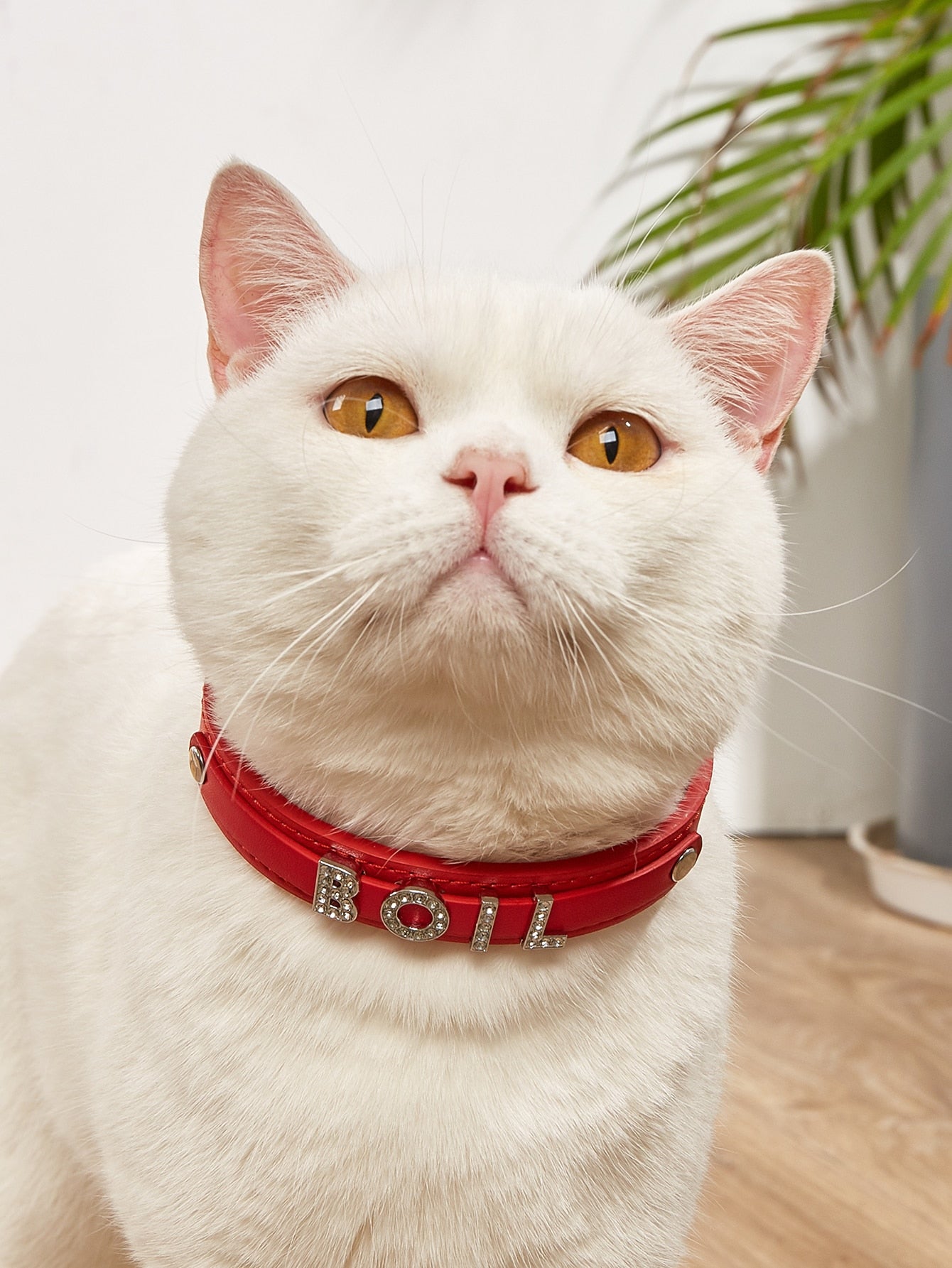 1pc Rhinestone Decor Pet Collar