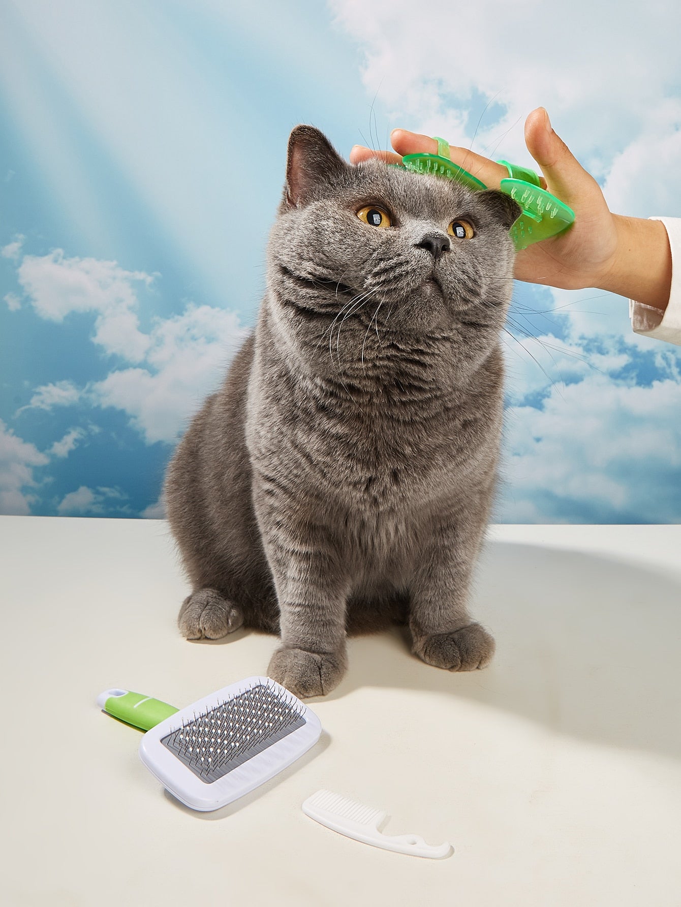 5pcs Pet Grooming Tool Set