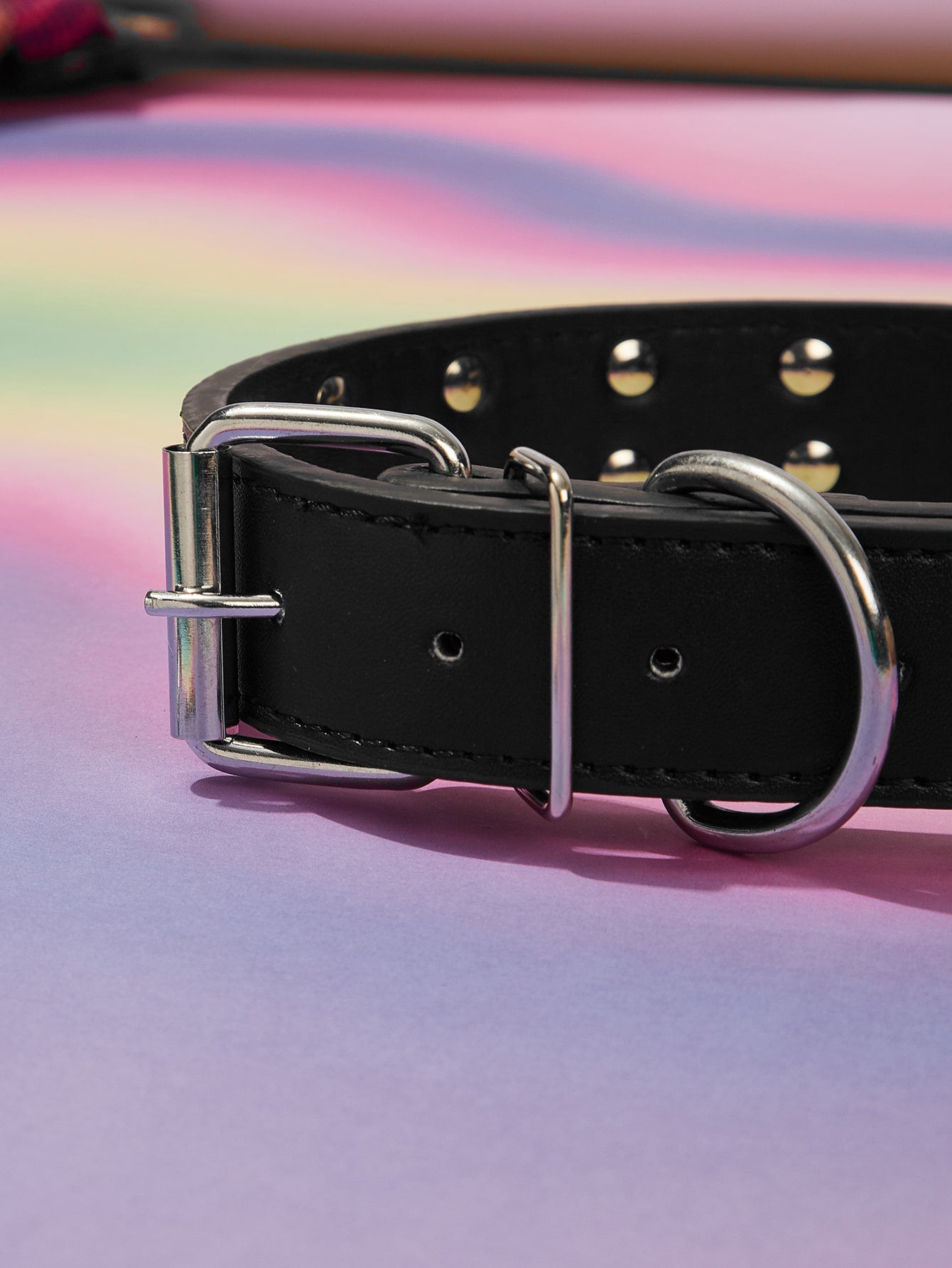 1pc Skeleton Decor Pet Collar