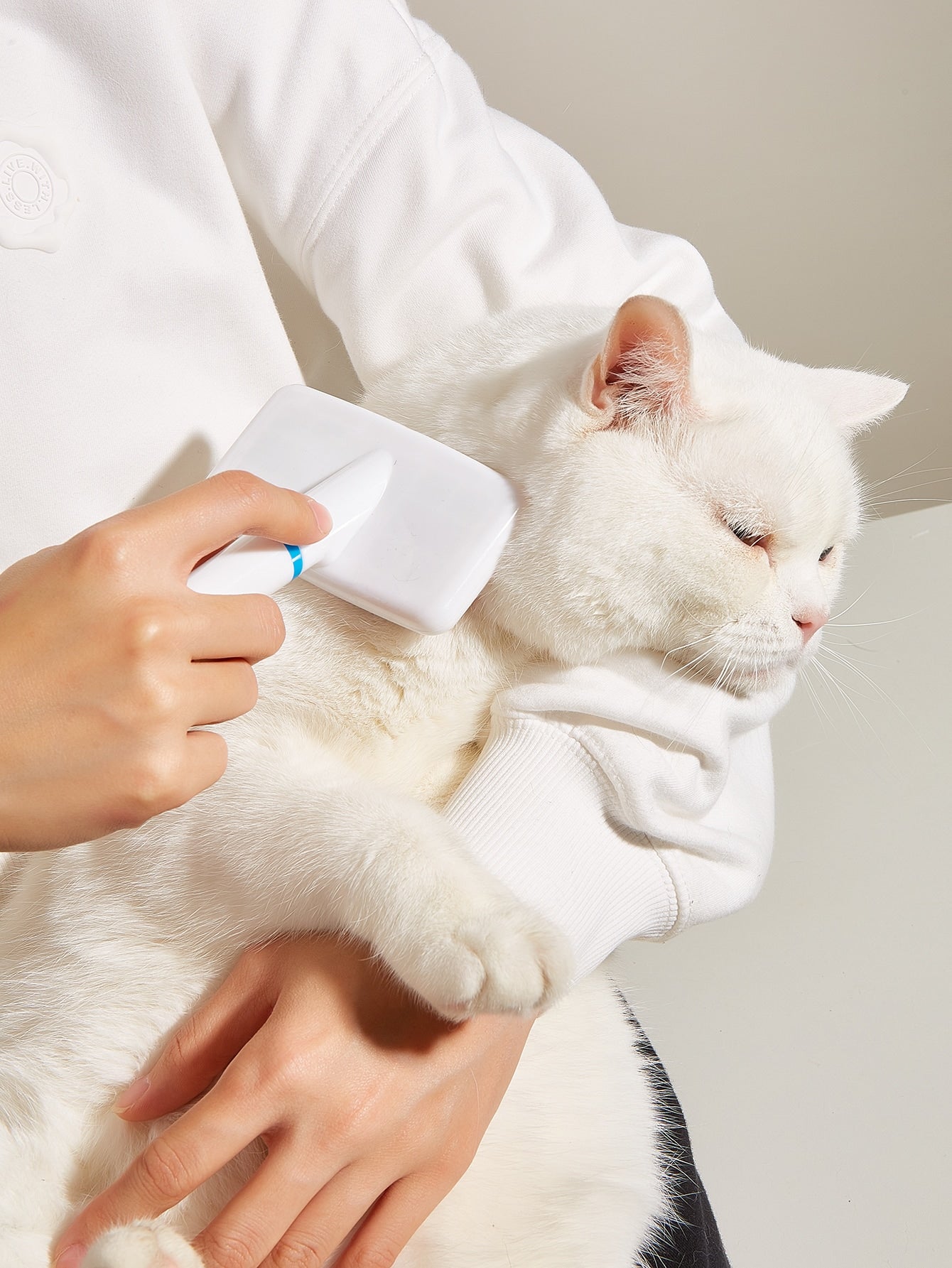 4pcs Pet Grooming Tool Set