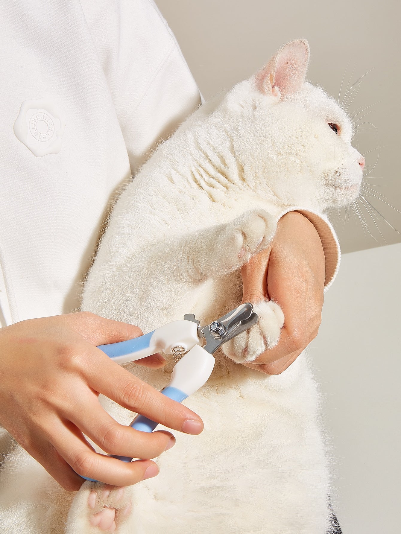 4pcs Pet Grooming Tool Set