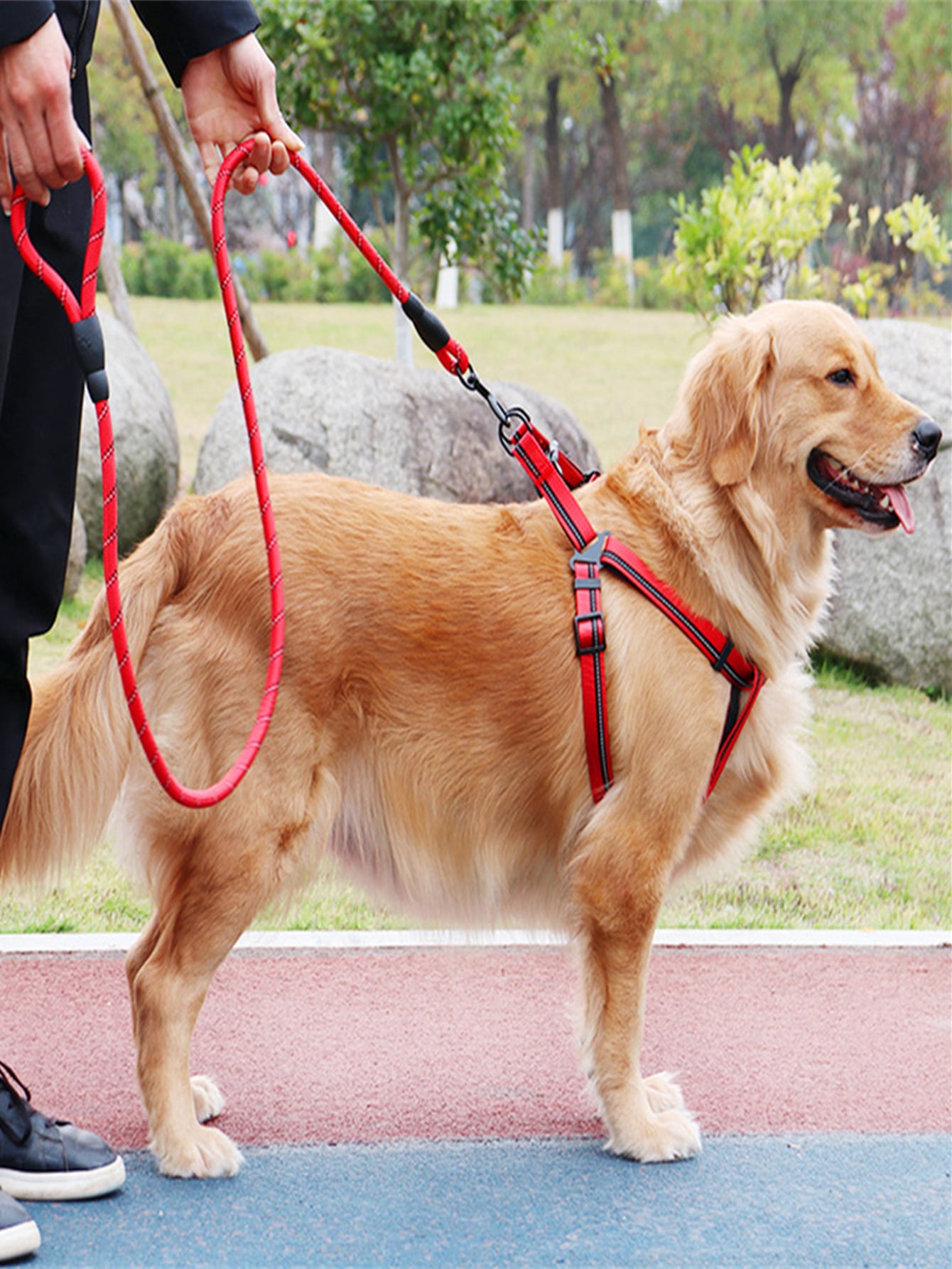 2pcs Random Color Reflective Pet Leash Harness Set