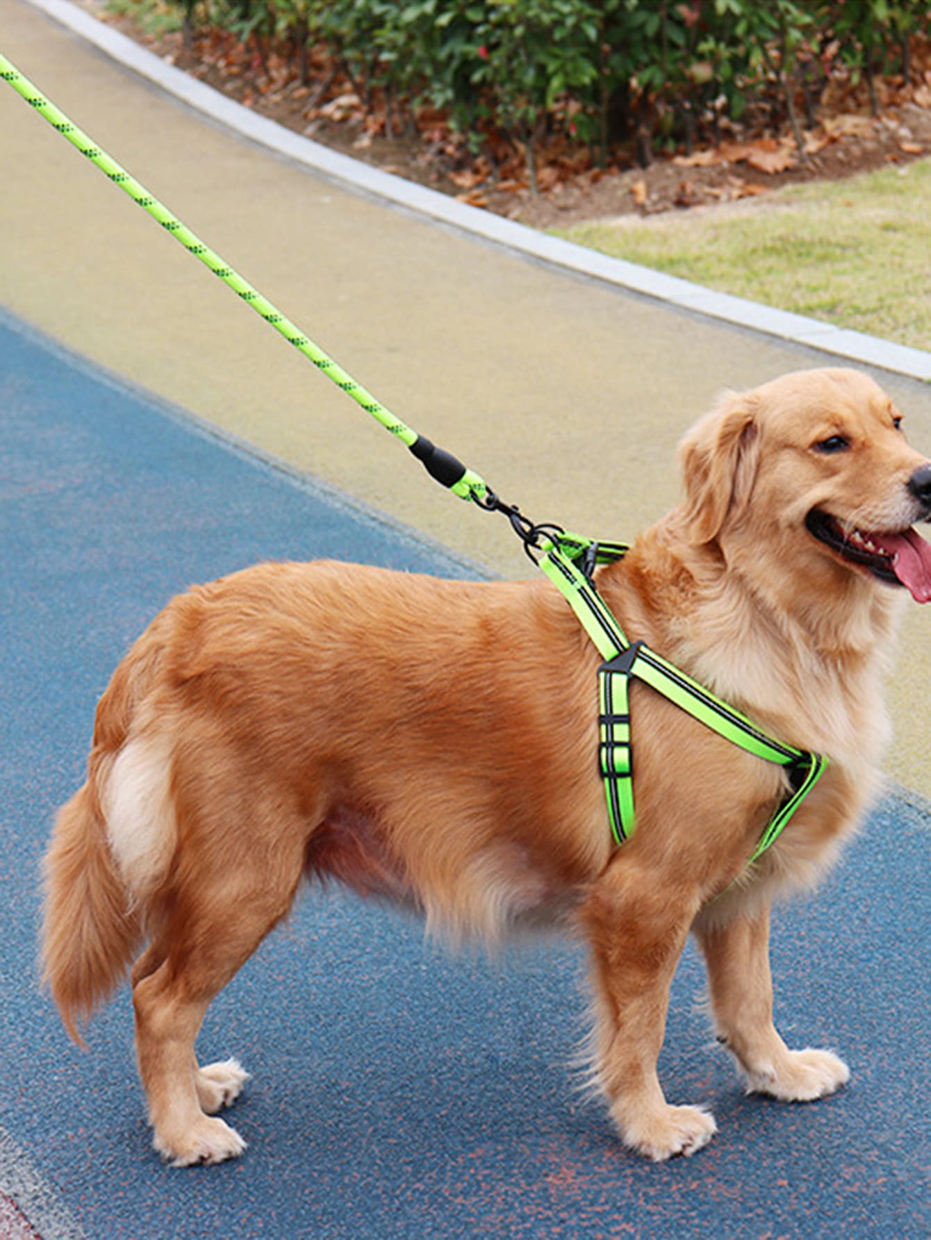 2pcs Random Color Reflective Pet Leash Harness Set
