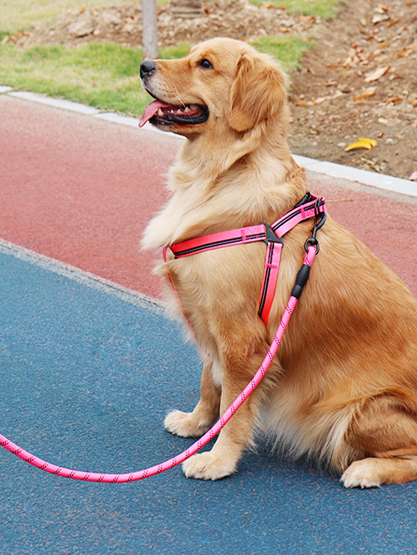 2pcs Random Color Reflective Pet Leash Harness Set