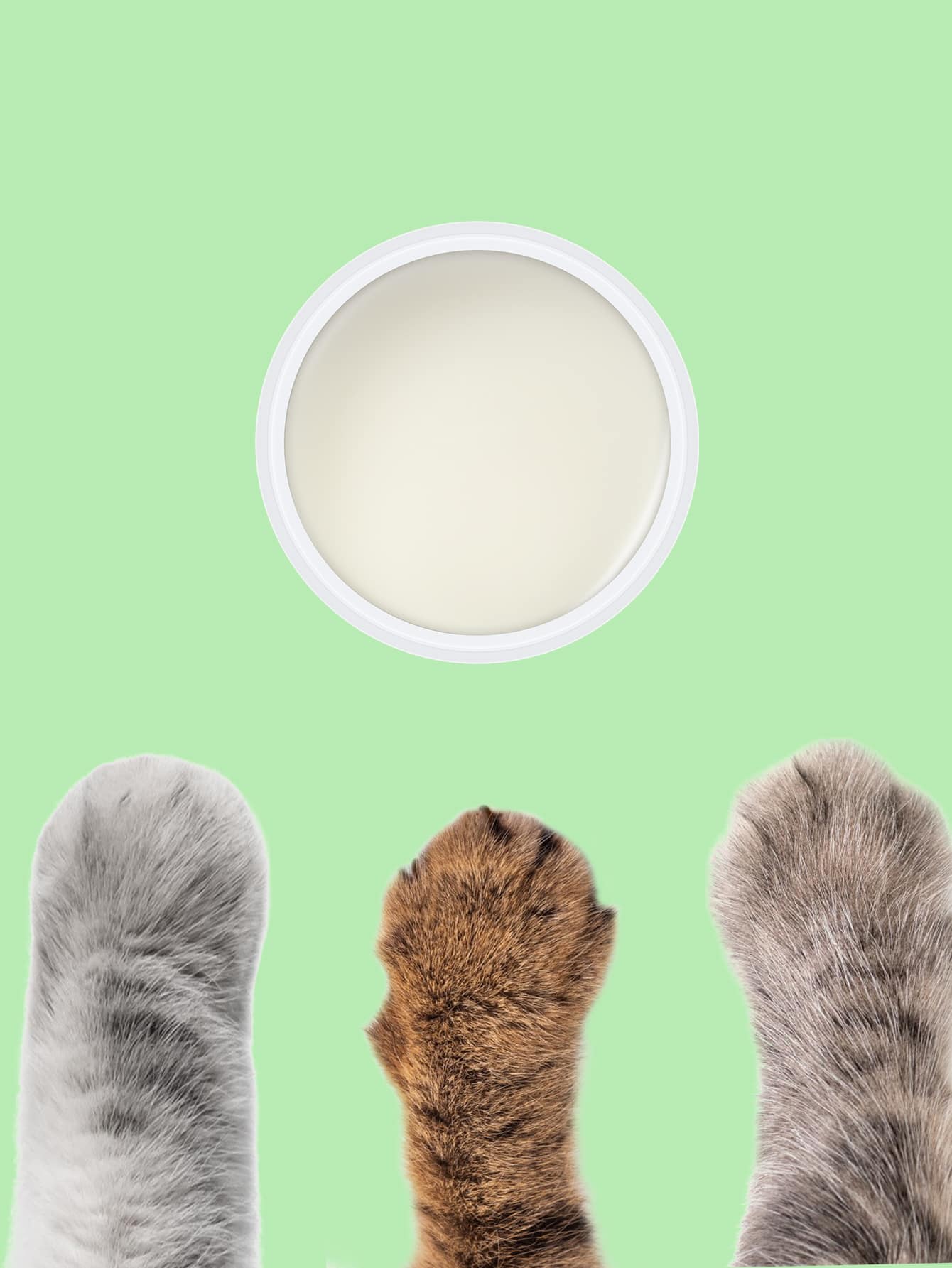 1pc Pet 3 In 1 Paw Balm