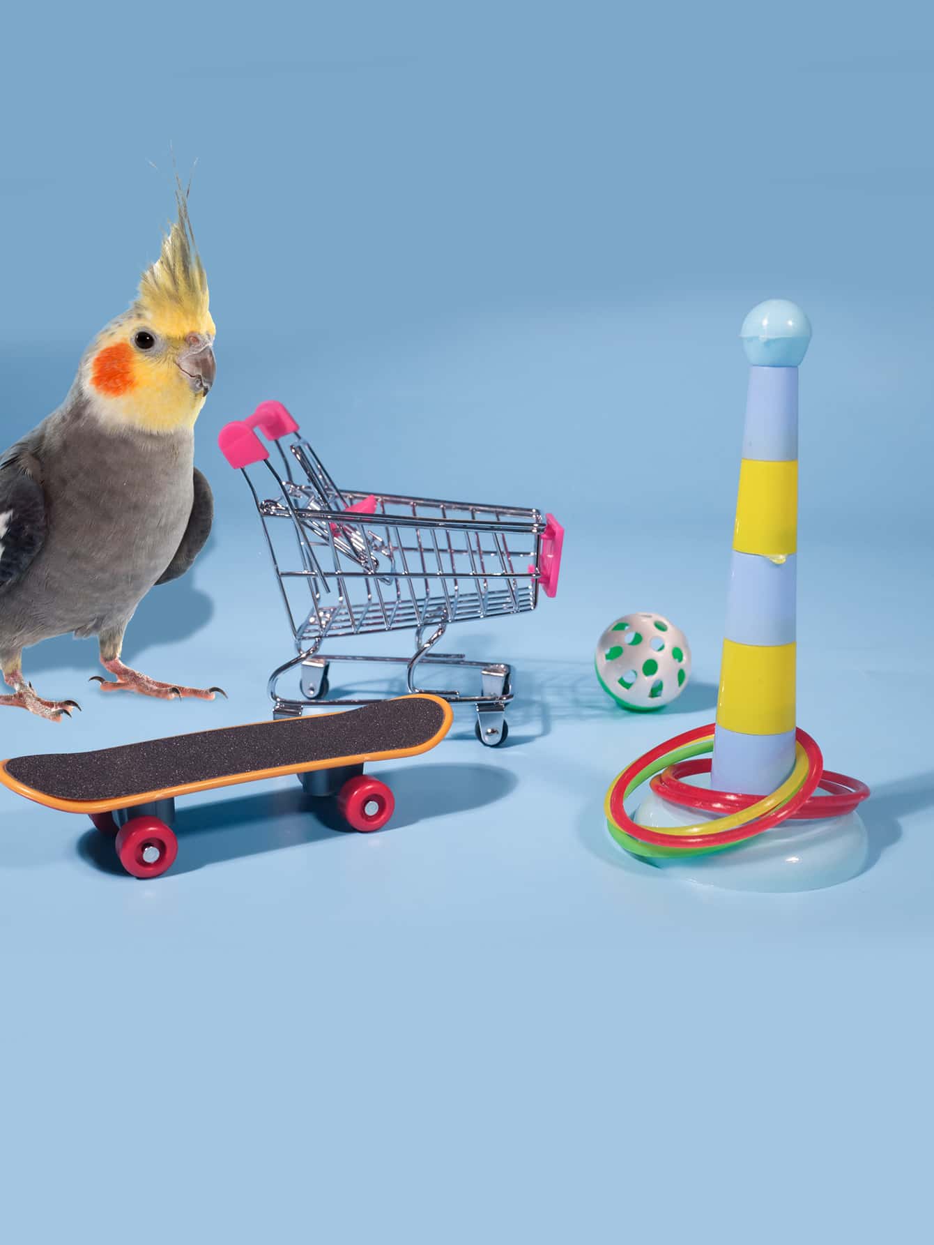 4pcs Parrot Training Toy Set