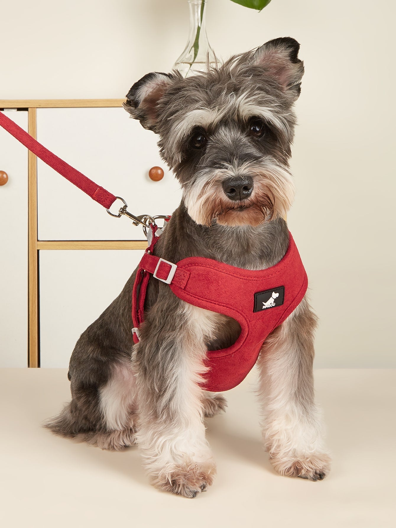 2pcs Plain Pet Leash Harness Set